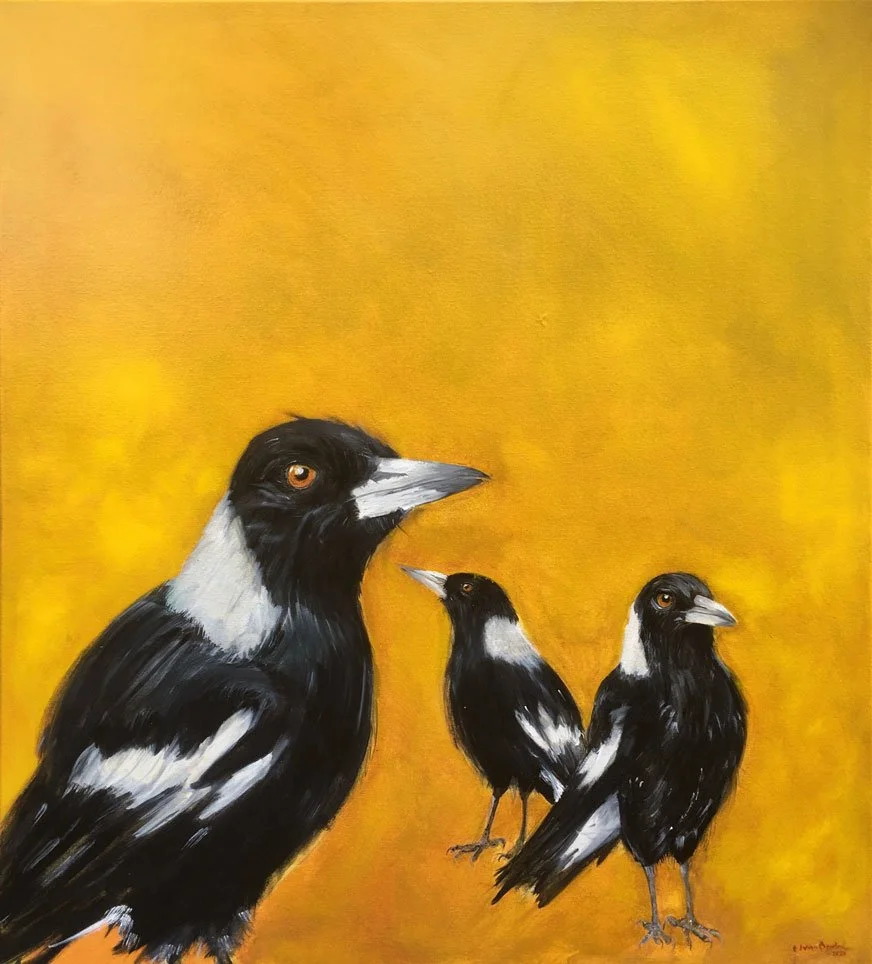 Magpies (2020)
Medium: oil on canvas
Size: 60cm x 80cm (unframed)