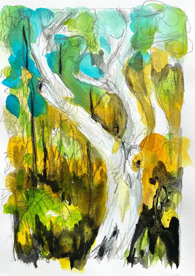 Abstract Gum (2021)
Medium: Mixed media (watercolour, ink and pencil) on paper
Size: 14.85cm x 21cm (unframed)
This work is a eucalyptus tree painted from memory.