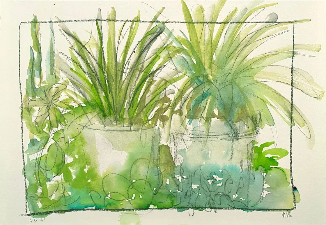 Plants in white pots (2021)
Medium: watercolour and charcoal on paper
Size: 14.8cm x 21cm (unframed)