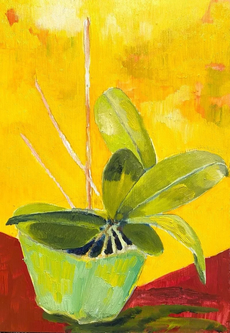 Still Life + Interiors