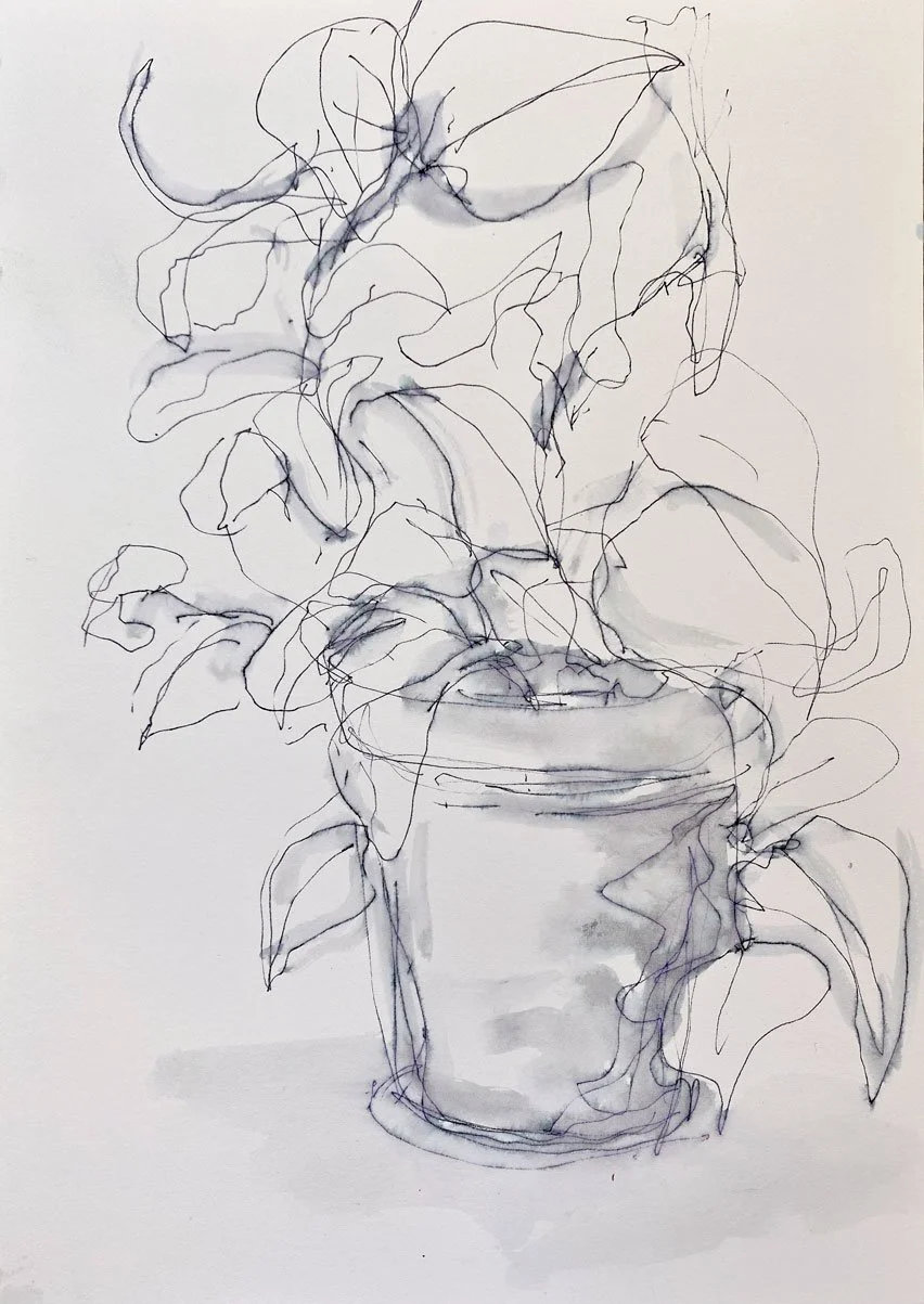 Plant in terracotta pot I (2022)
Medium: watercolour and ink on paper
Size: 14.8cm x 21cm (unframed)
