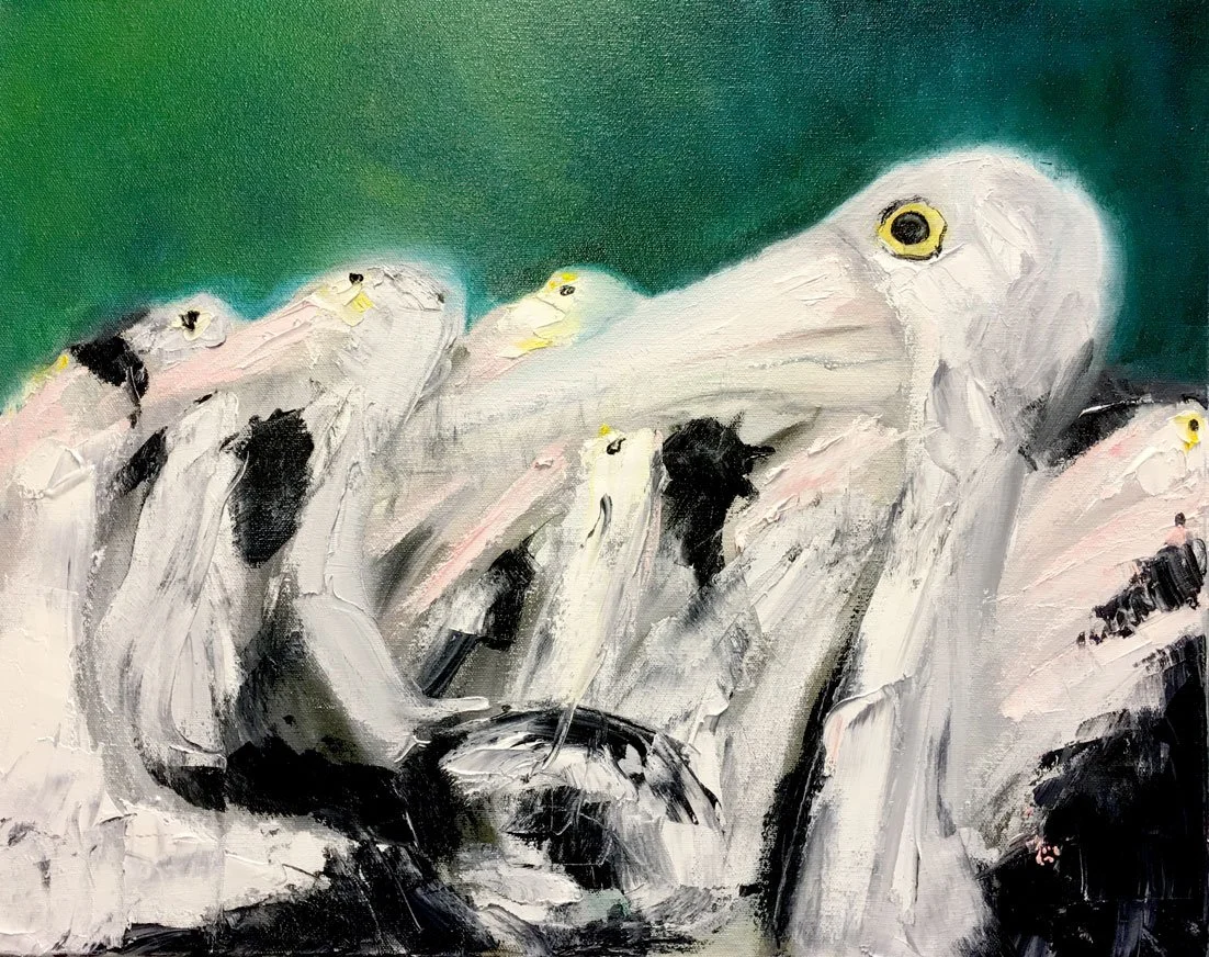 Pelicans at the Entrance (2017)
Medium: oil on canvas
Size: 40.6cm x 50.8cm (unframed)