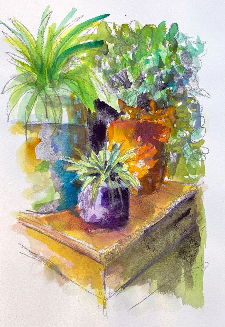 Diana’s garden pots at Rosa Street (2019)
Medium: watercolour and pencil on paper
Size: 14.8cm x 21cm (unframed)