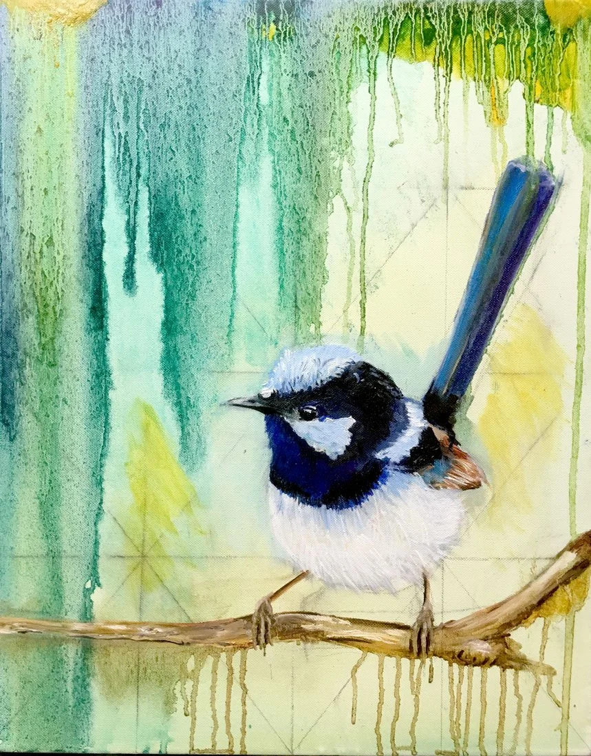 Blue Wren (2016)
Medium: oil on canvas
Size: 40.6cm x 50.8cm (unframed)