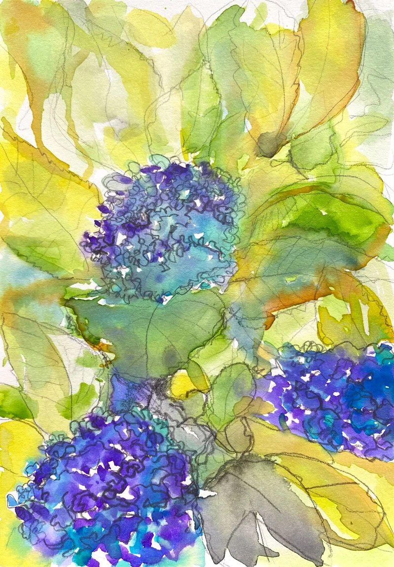 Hydrangea close up II (2022)
Medium: watercolour and pencil on paper
Size: 14.8cm x 21cm (unframed)