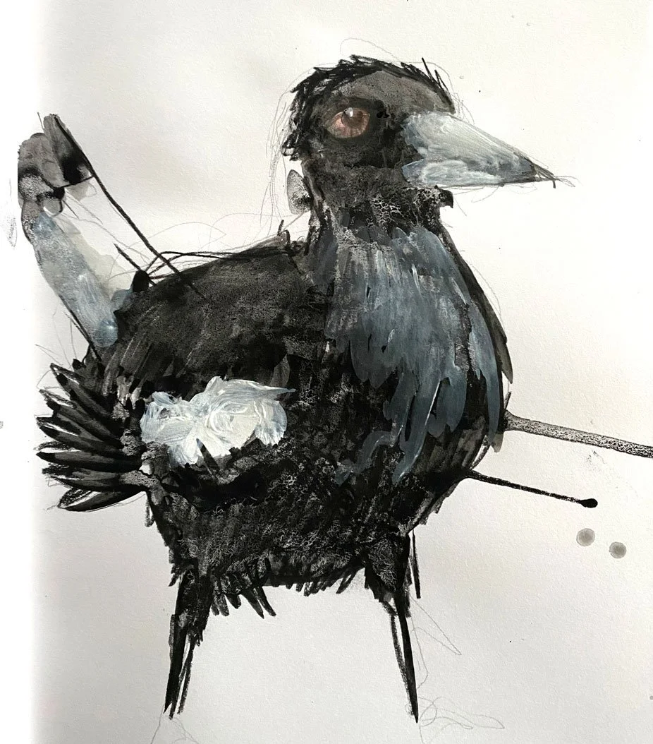 Magpie (2017)
Medium: ink and pen on paper
Size: 21cm x 29.7cm (unframed)