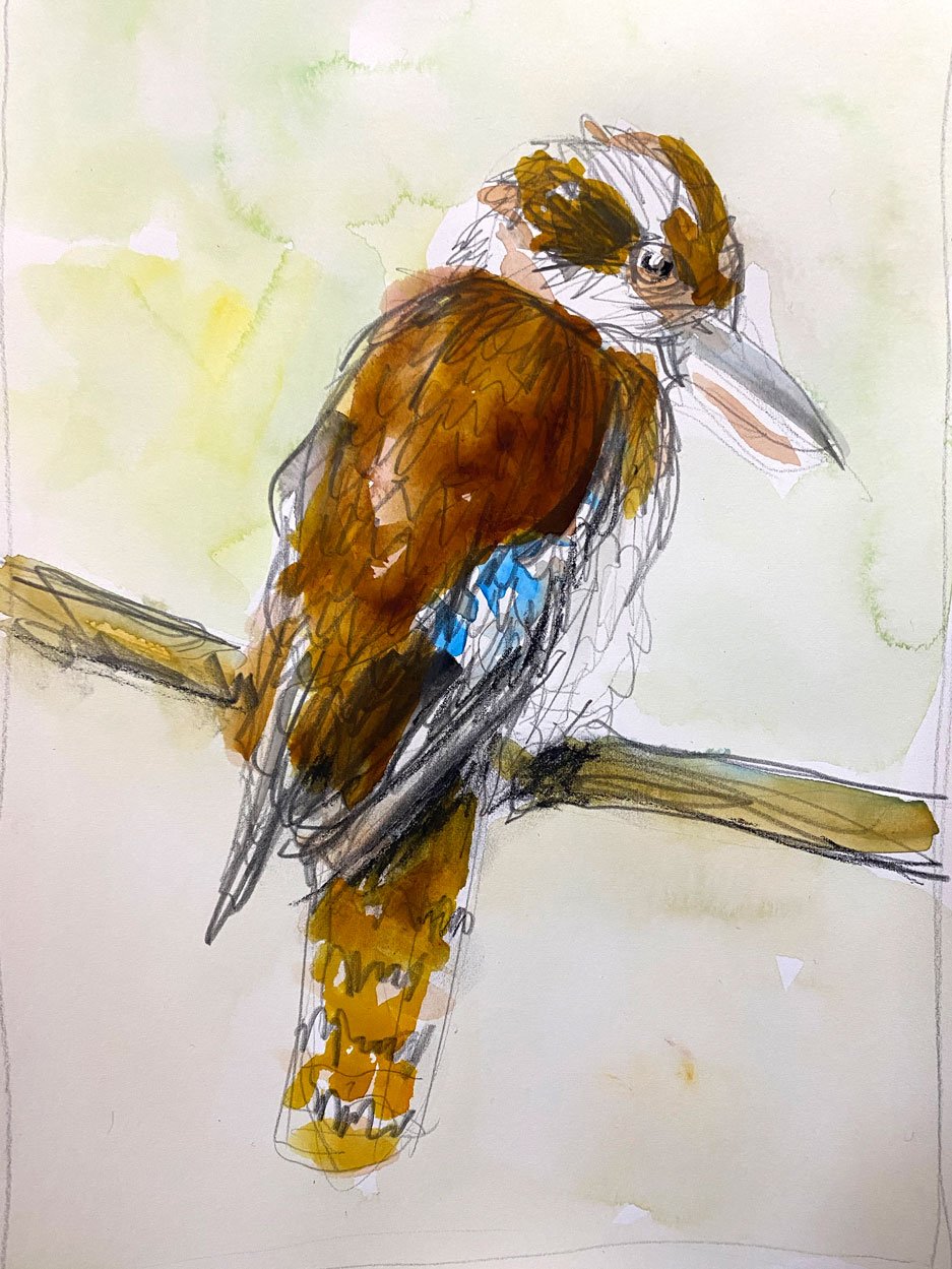 Kookaburra I (2022)
Medium: watercolour and pencil on paper
Size: 21cm x 29.7cm (unframed)