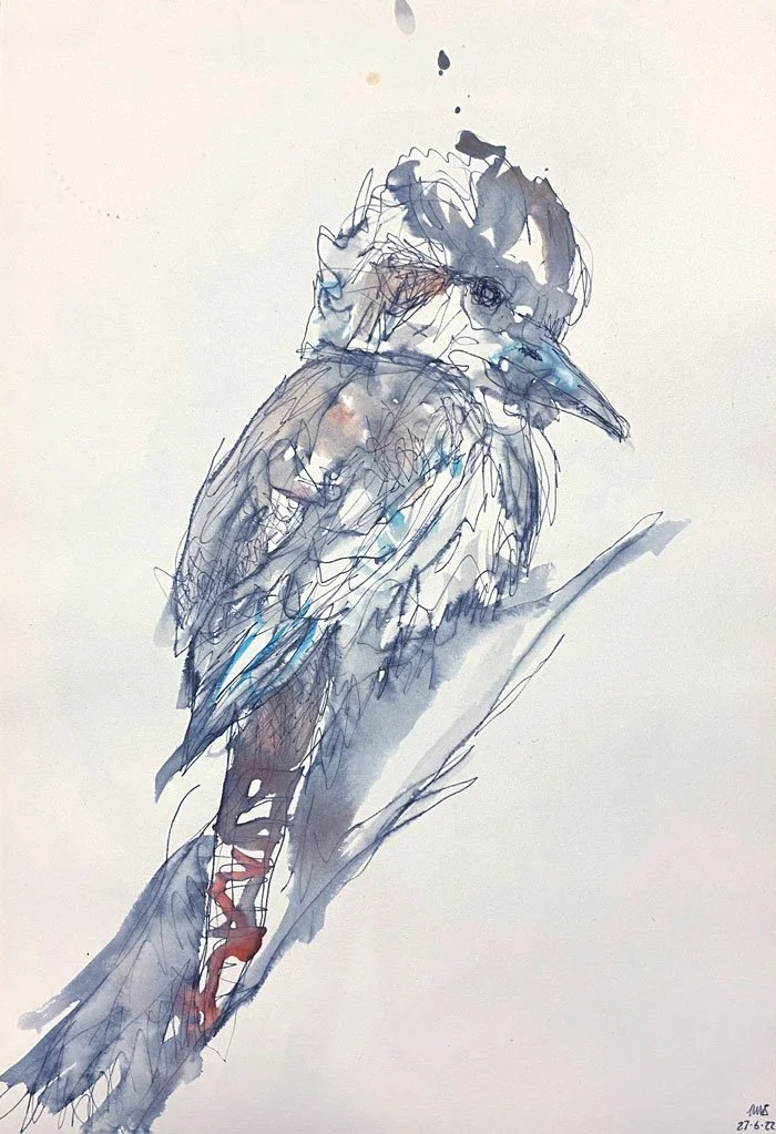 Kookaburra IV (2022)
Medium: watecolour, pencil and ink on paper
Size: 21cm x 29.7cm (unframed)