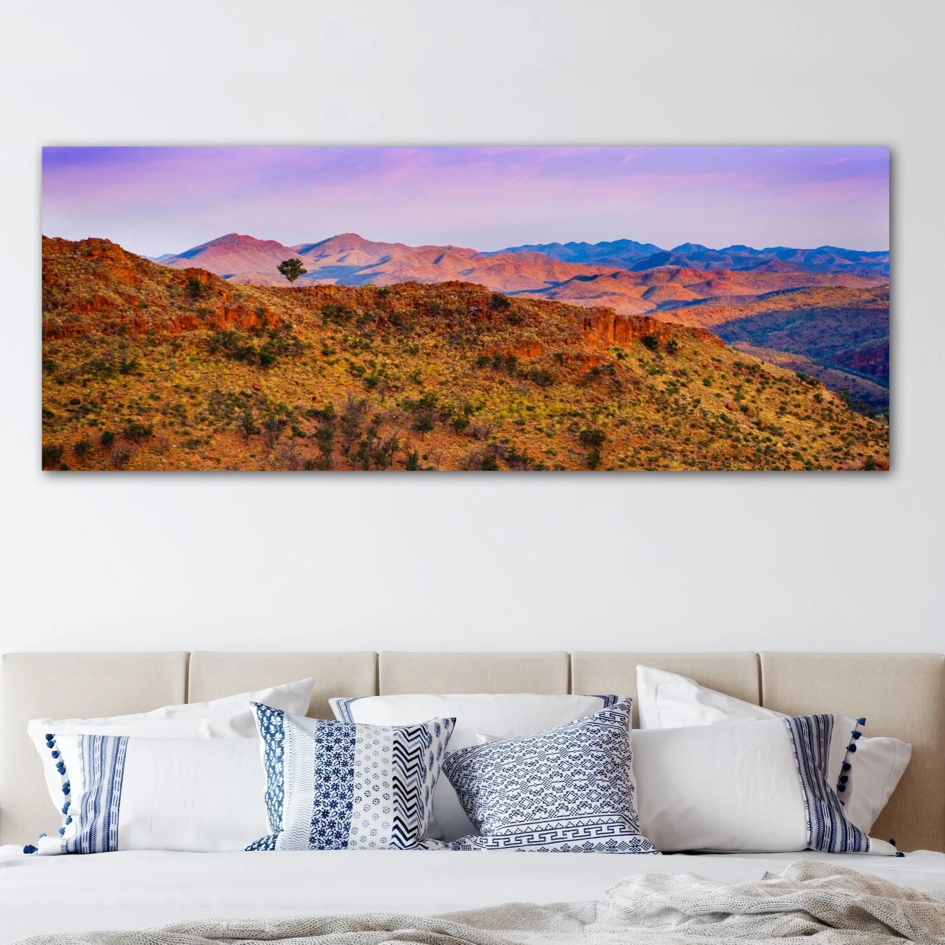Flinders Ranges Landscape