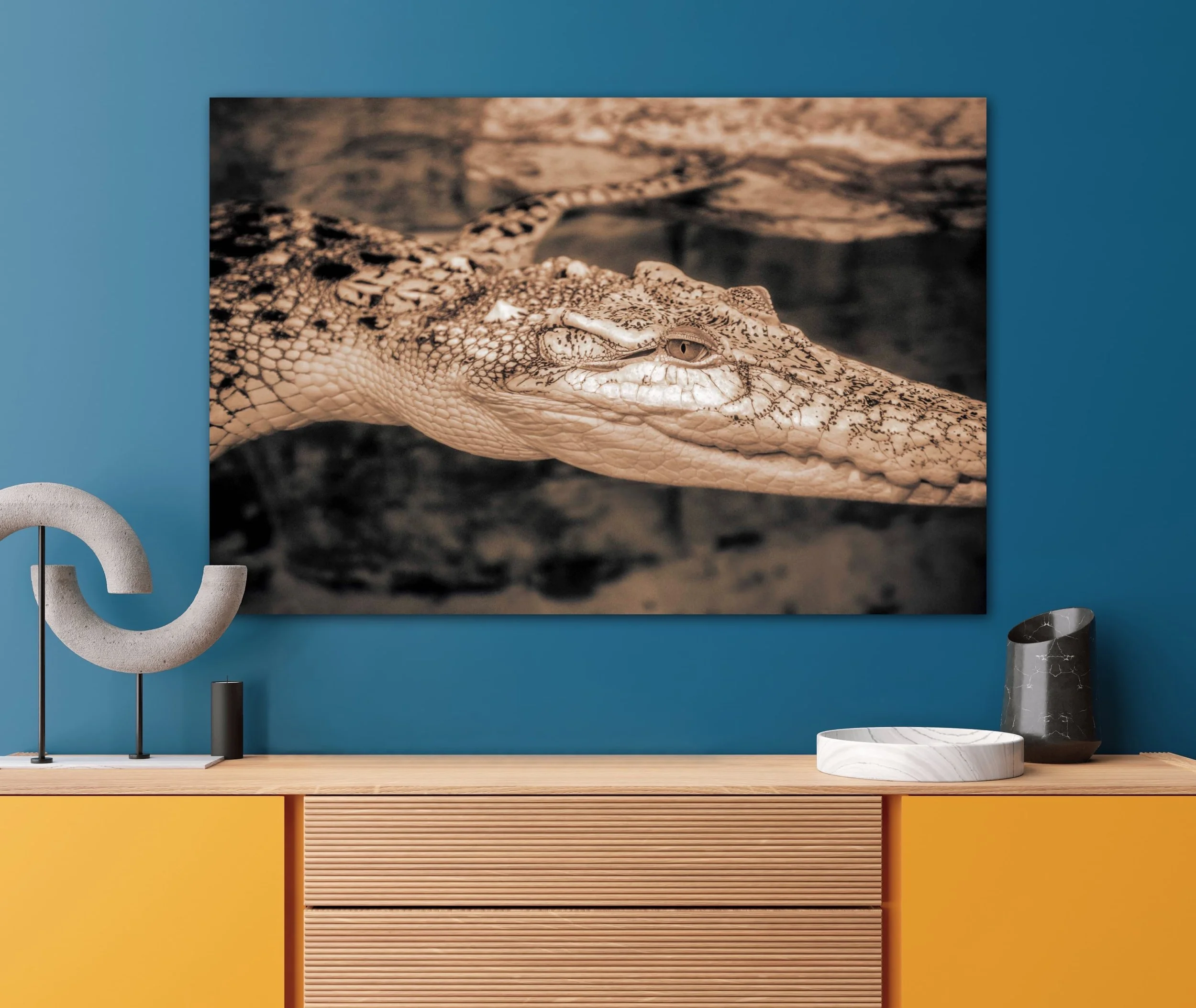 canvas print of an alligator under water