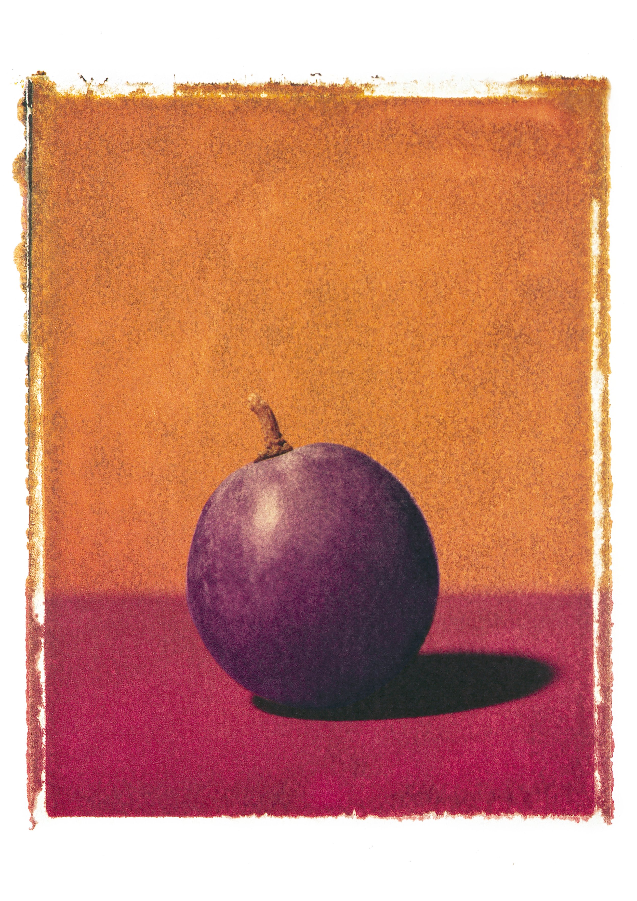 The Art of Polaroid Transfers - The Era Before Digital Photography