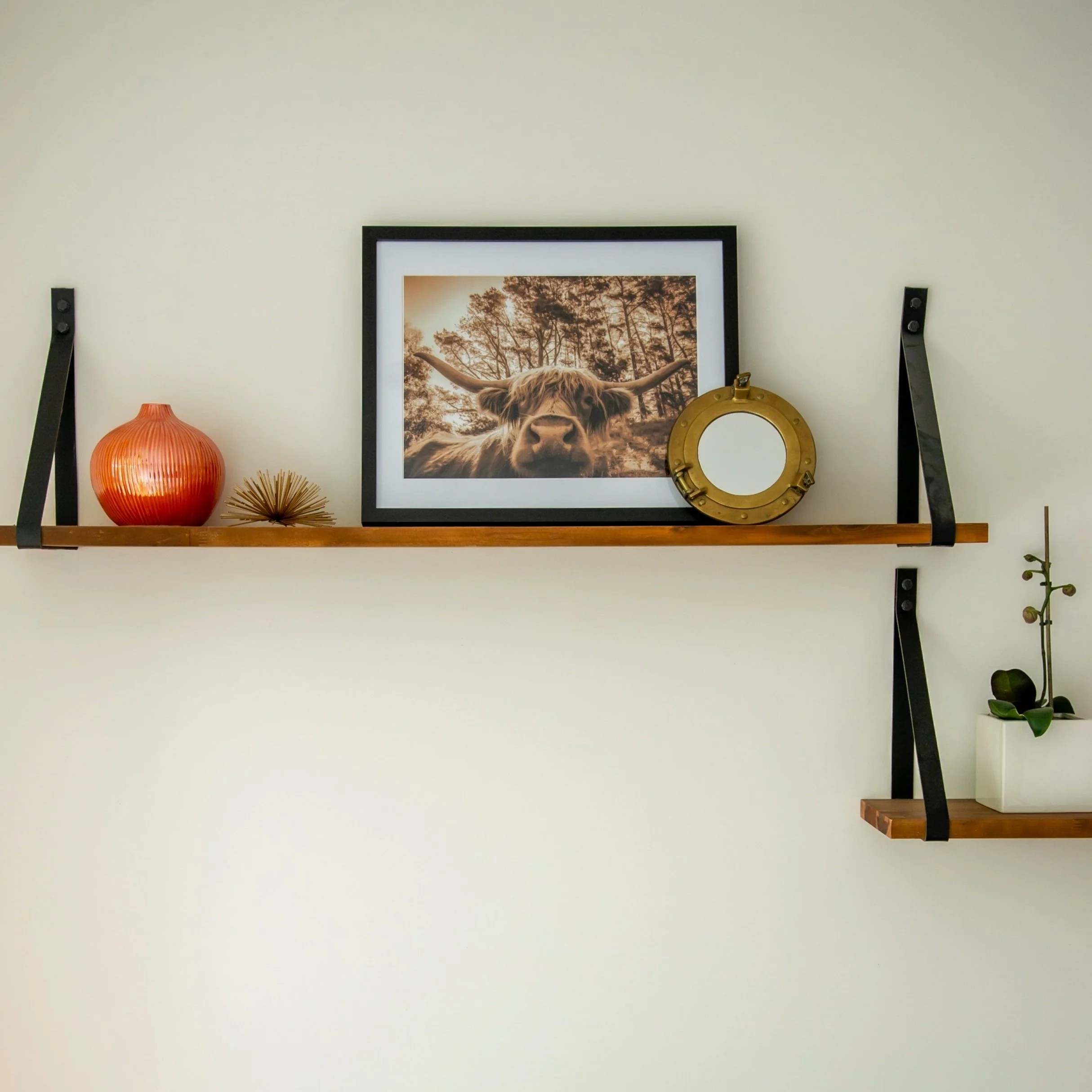 Decorative wall shelf with a black framed photography print of a Highland cow, a red vase, a gold decorative object, a small potted plant, and a brass porthole mirror.