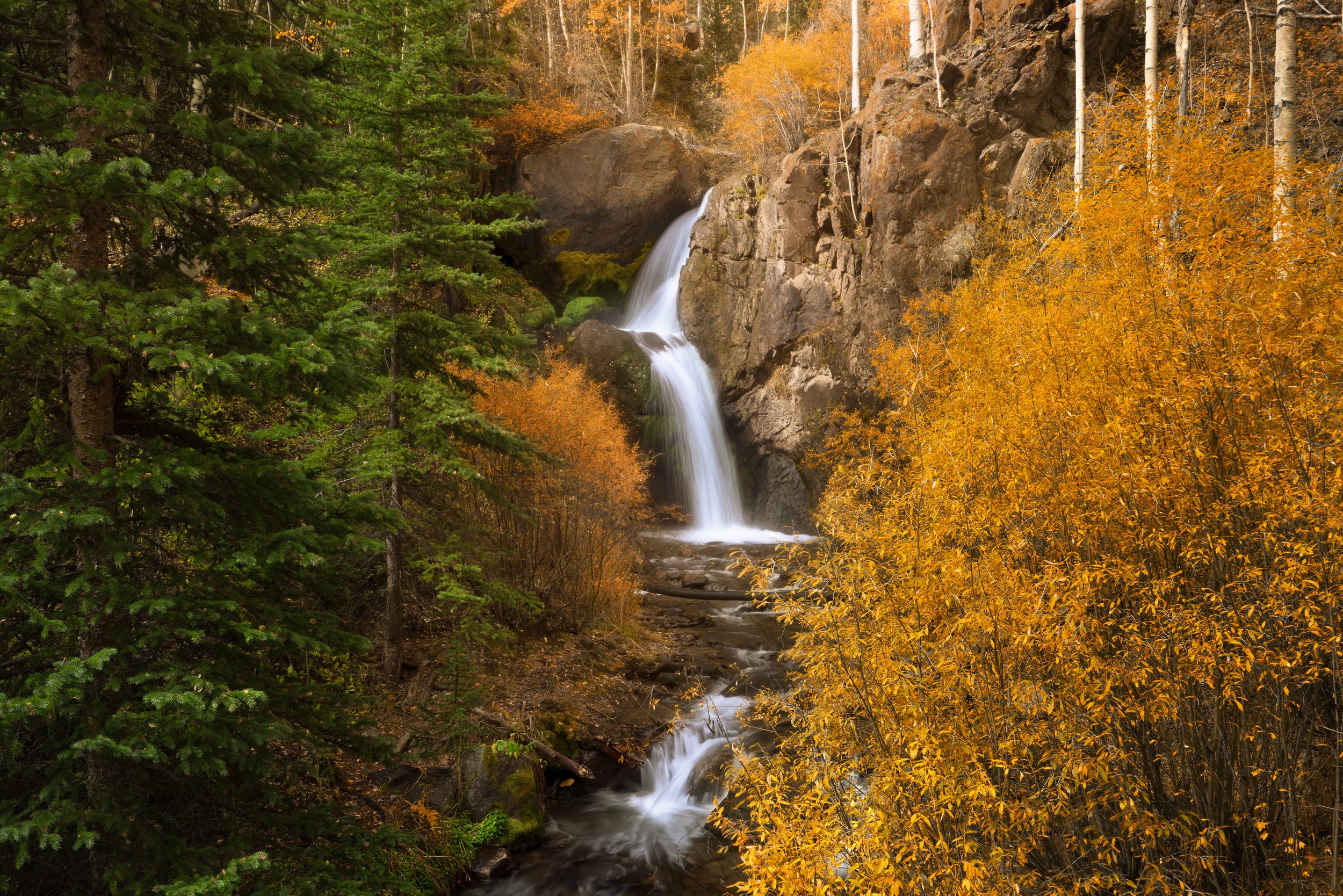 Nellie Creek waterfall spills between mossy rocks framed by golden willows and white aspen trunks in a Colorado autumn.
