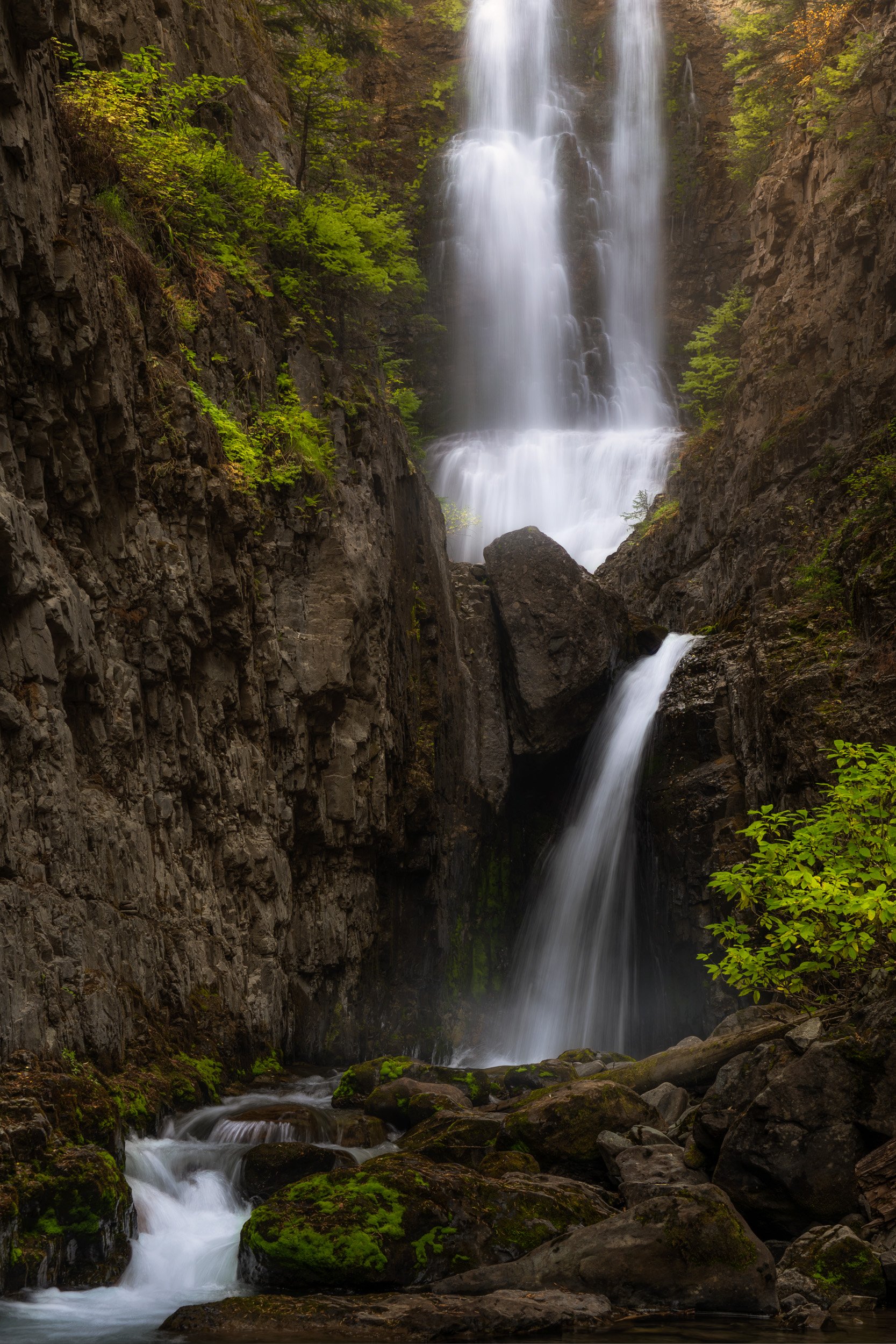 Mystic Falls pours through a narrow basalt gorge lined with green undergrowth in this long exposure photo taken near Telluride, Colorado.