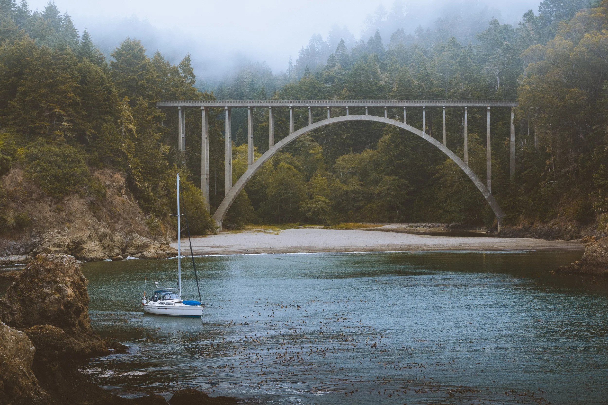 A sailboat sits at anchor in a calm cove beneath the Russian Gulch Bridge as fog drifts through the redwoods behind, Mendocino coast, California.