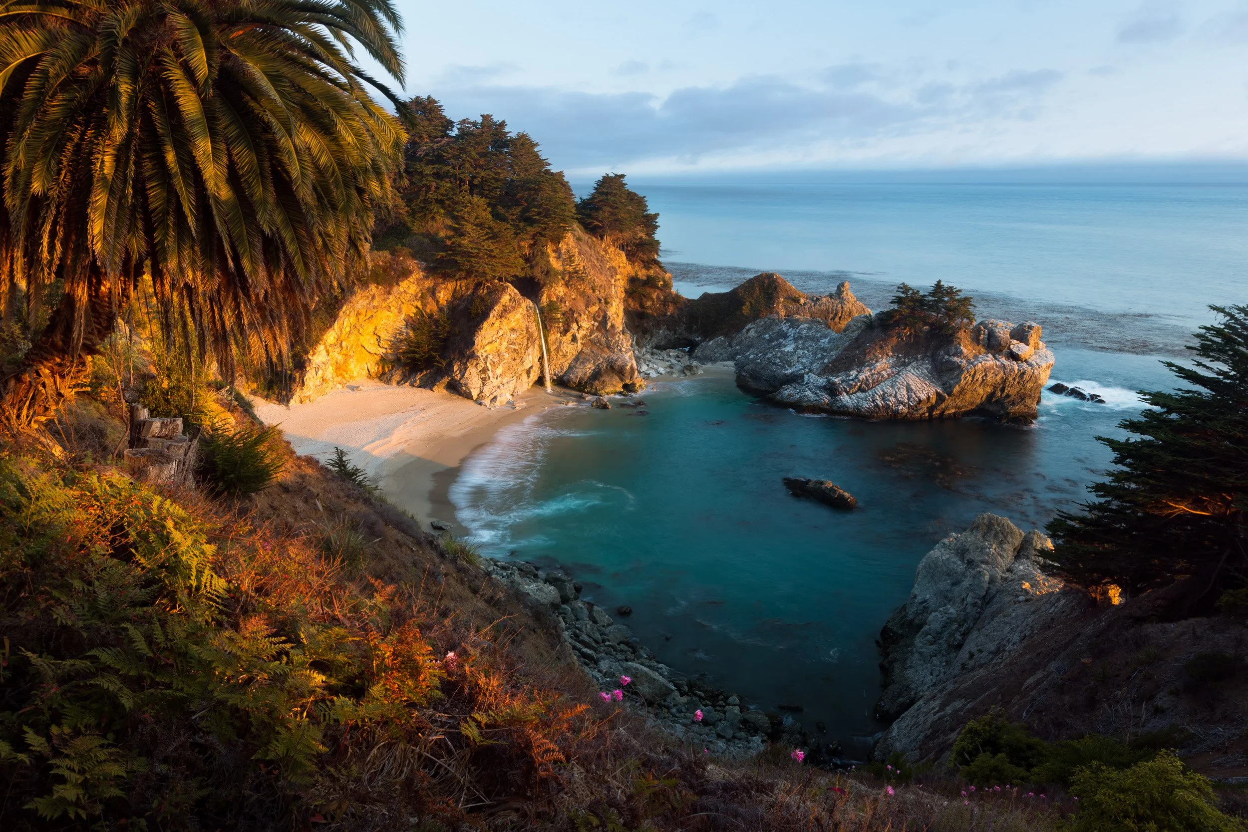 McWay Falls spills onto the beach of a turquoise cove at golden hour, framed by a sunlit palm in Julia Pfeiffer Burns State Park, Big Sur.