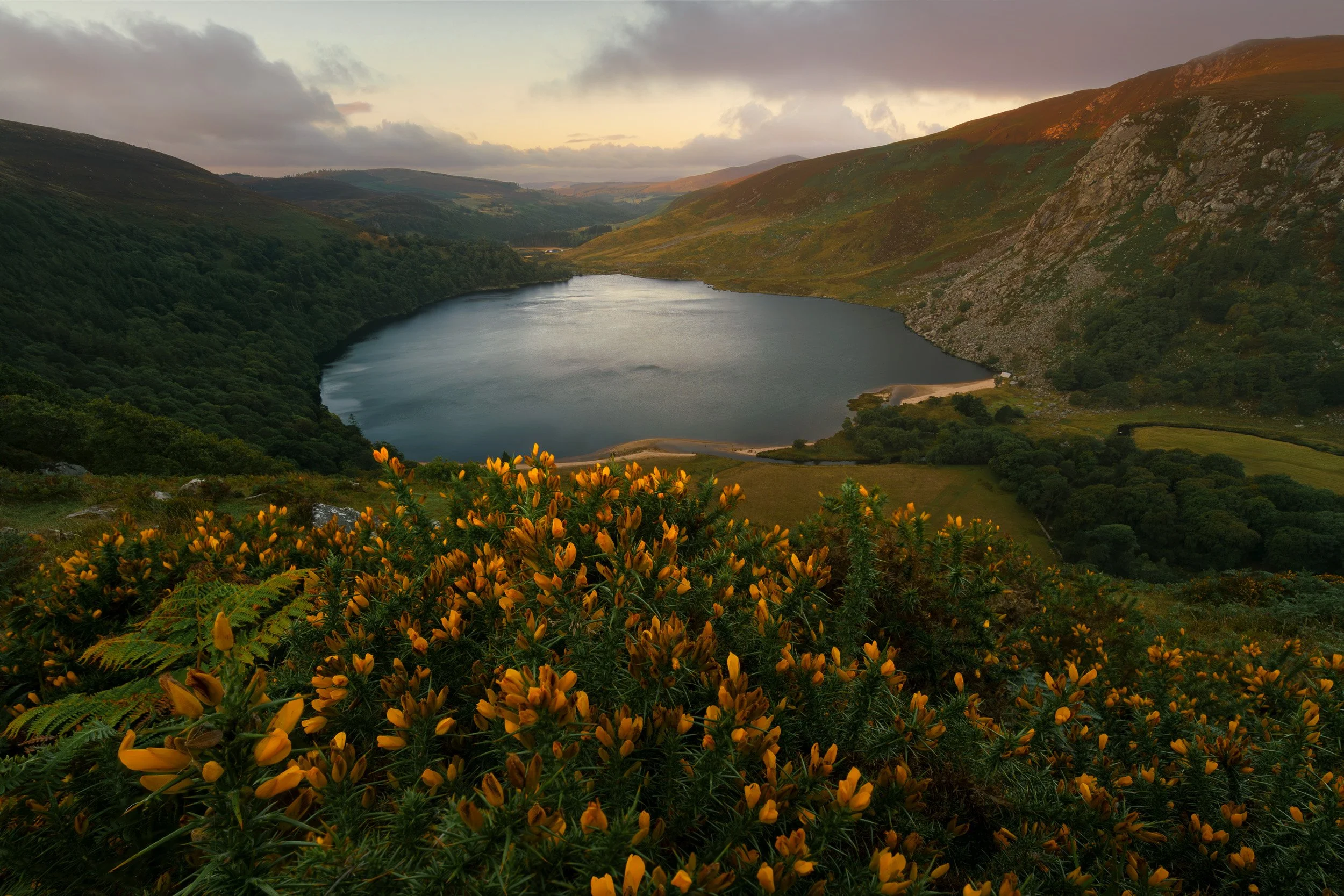 lough-tay-sunrise.jpg