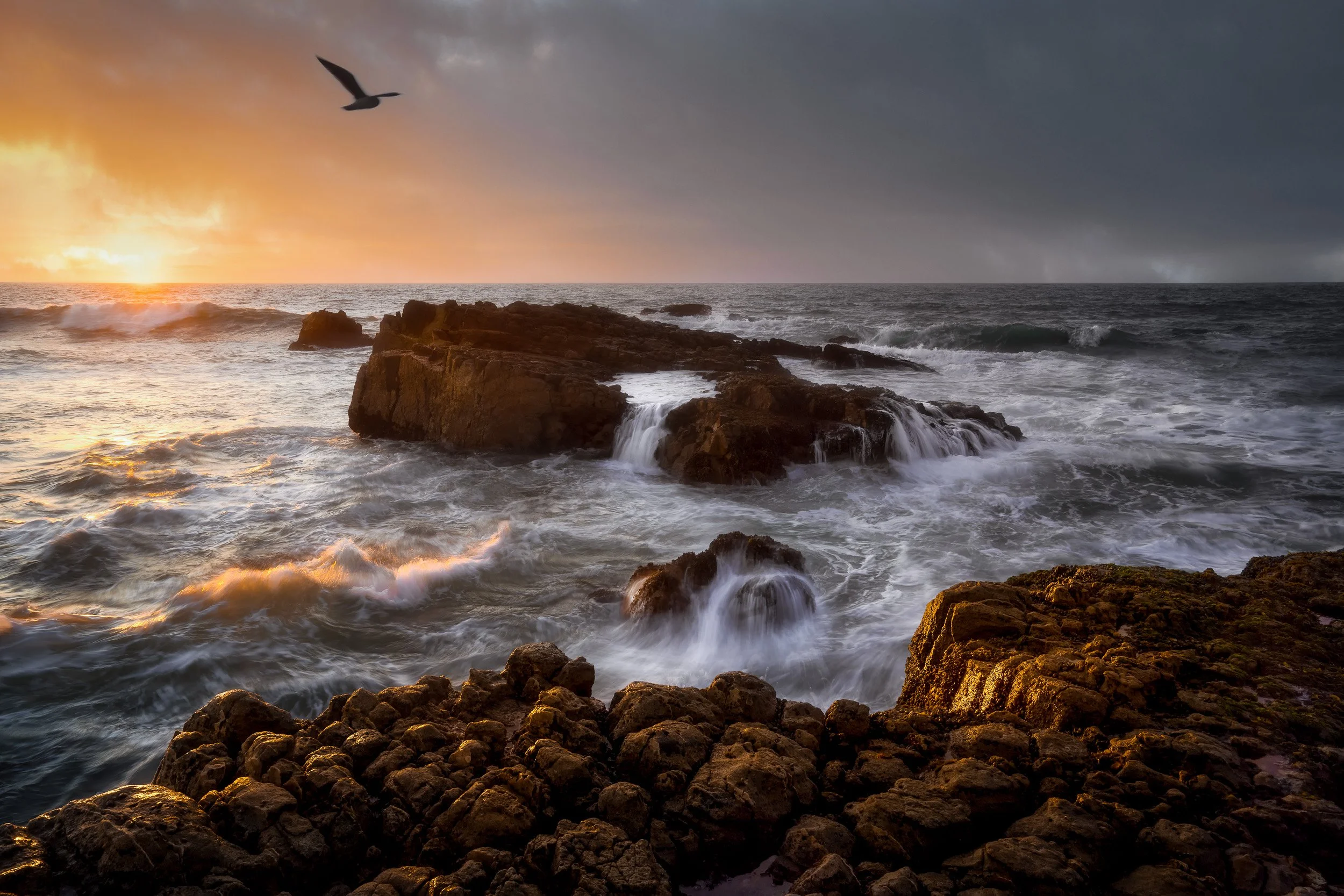 A seagull glides over storm surf cascading off dark rocks as golden light breaks through heavy clouds along the California coast.