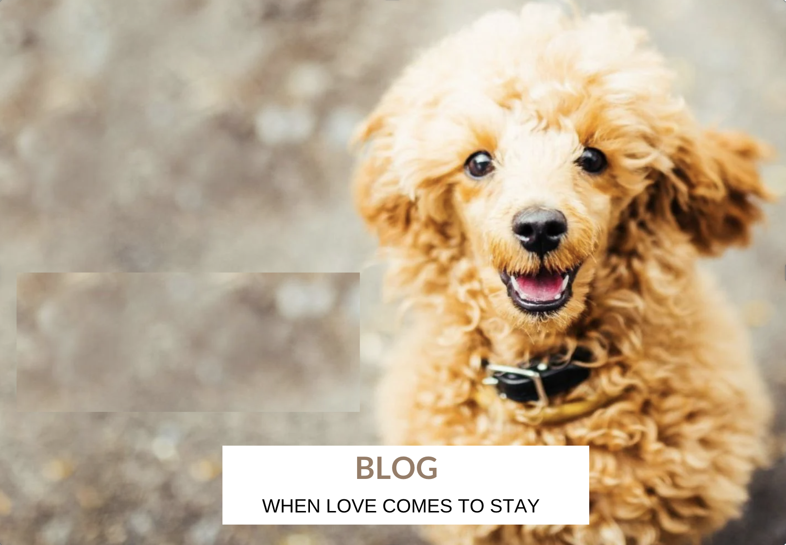 Screenshot 2025-10-28 at 1.43.41 PM.png