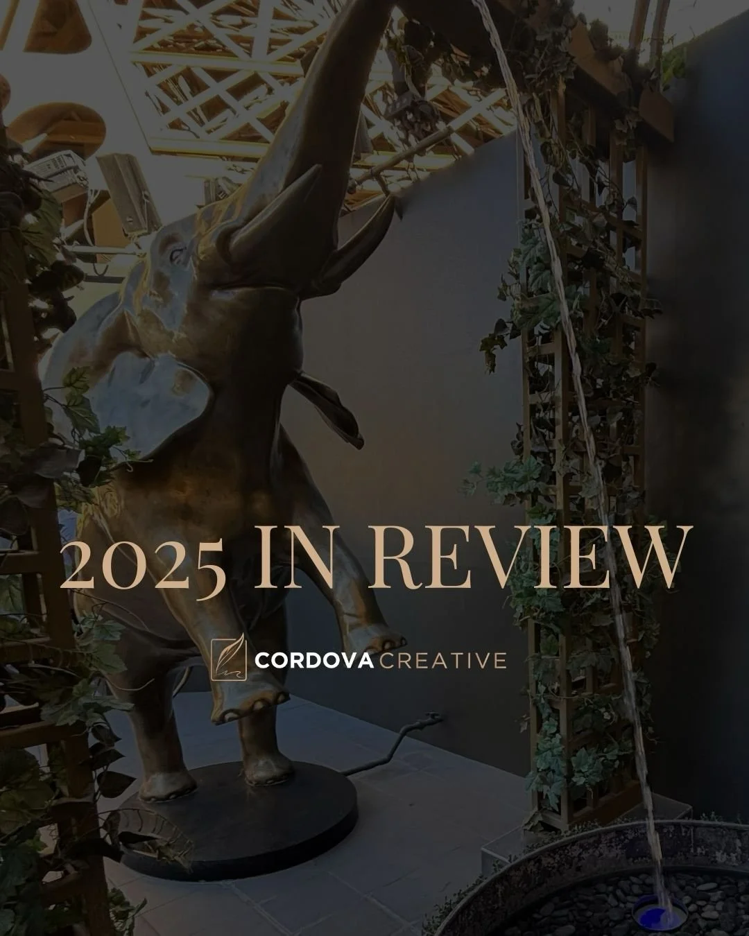A full year, in every sense.

From airplanes to newsrooms.
From client wins to personal milestones.
From behind the scenes to moments that asked me to step forward.

2025 looked like:
&bull; Travel that brought perspective
&bull; Clients who trusted 