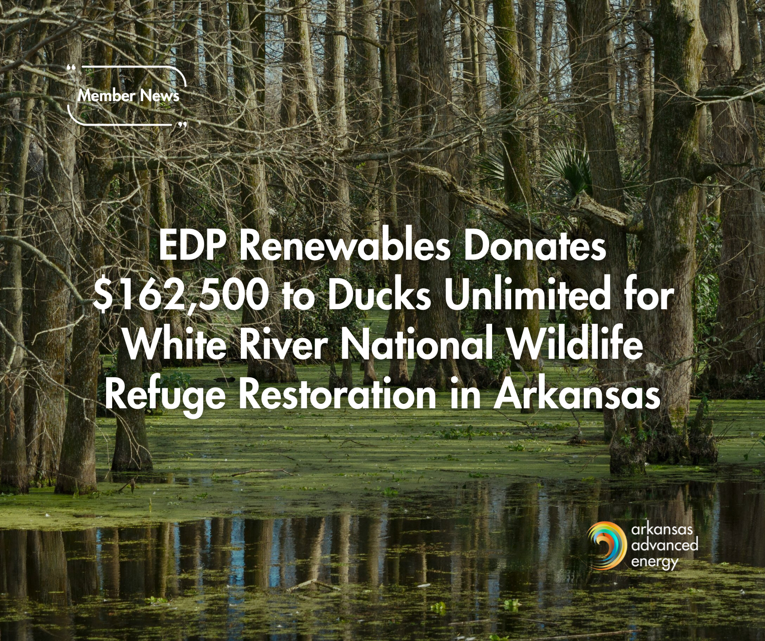 Member News: EDP Renewables Donates $162,500 to Ducks Unlimited for White River National Wildlife Refuge Restoration in Arkansas
