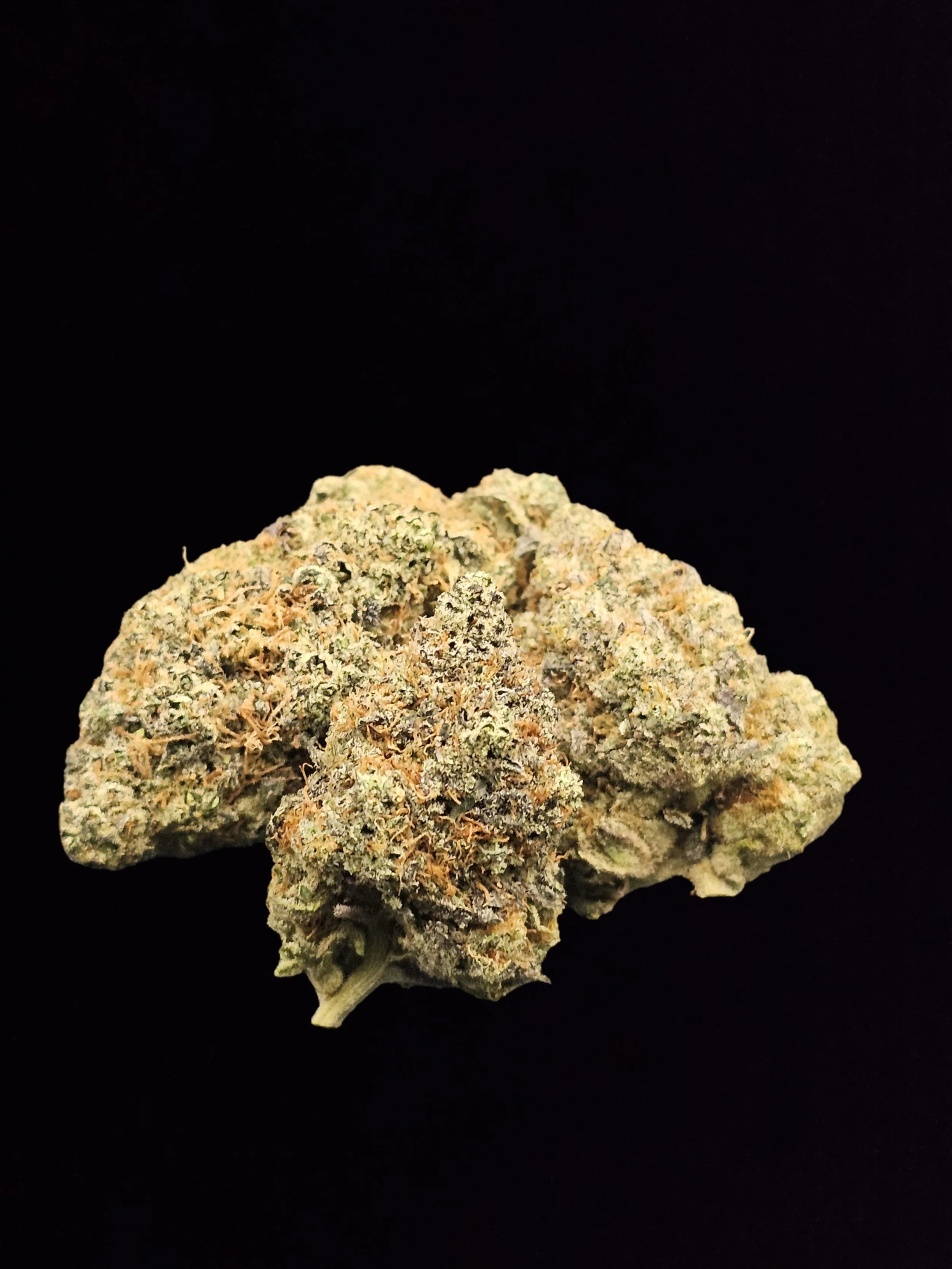 Guava Cookies (24.72% THC)a-AA flower (H)