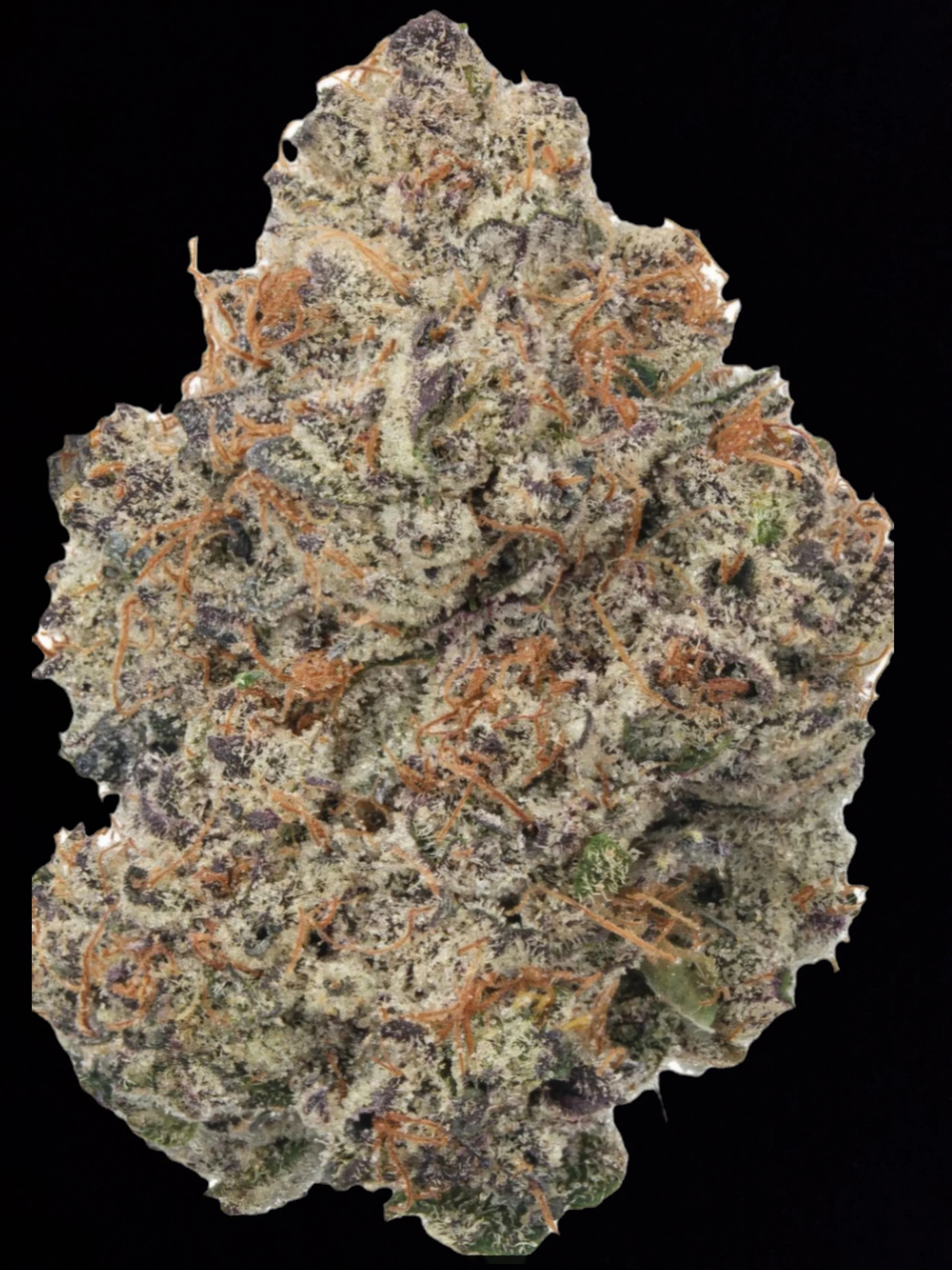 Lemmon Cherry gelato (22% THC)a-AA Flower (H) SALE!!!!!!!