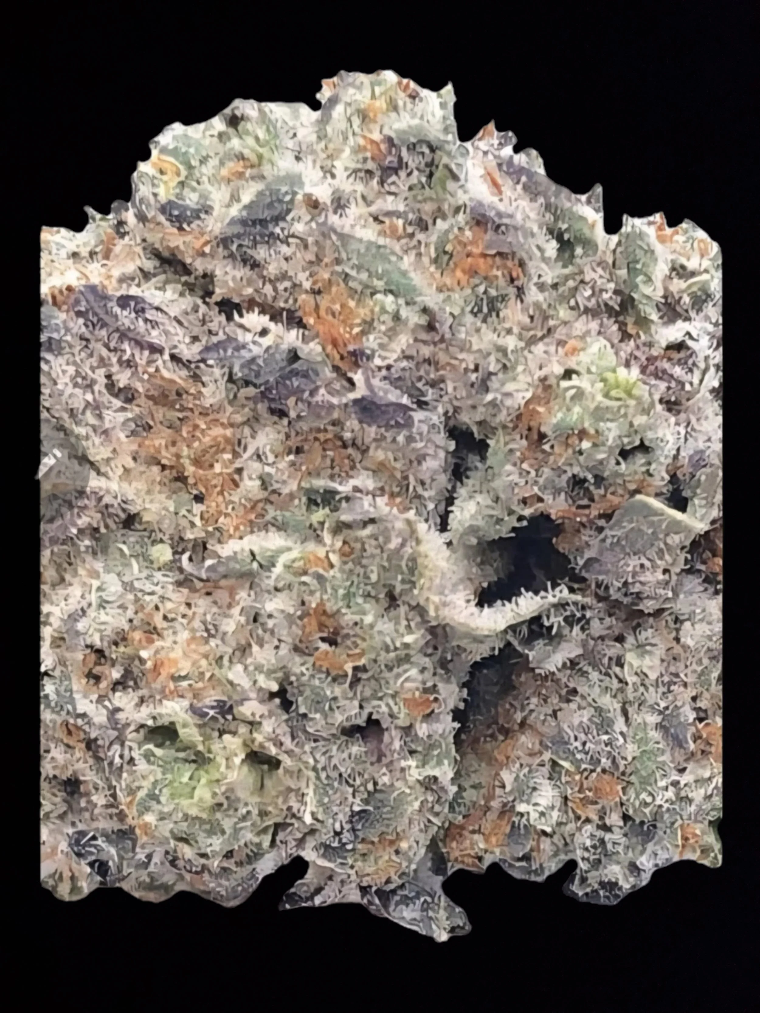 Grape Ape ( 26% THC)a-AAA Flower (I) indica dominant 70/30