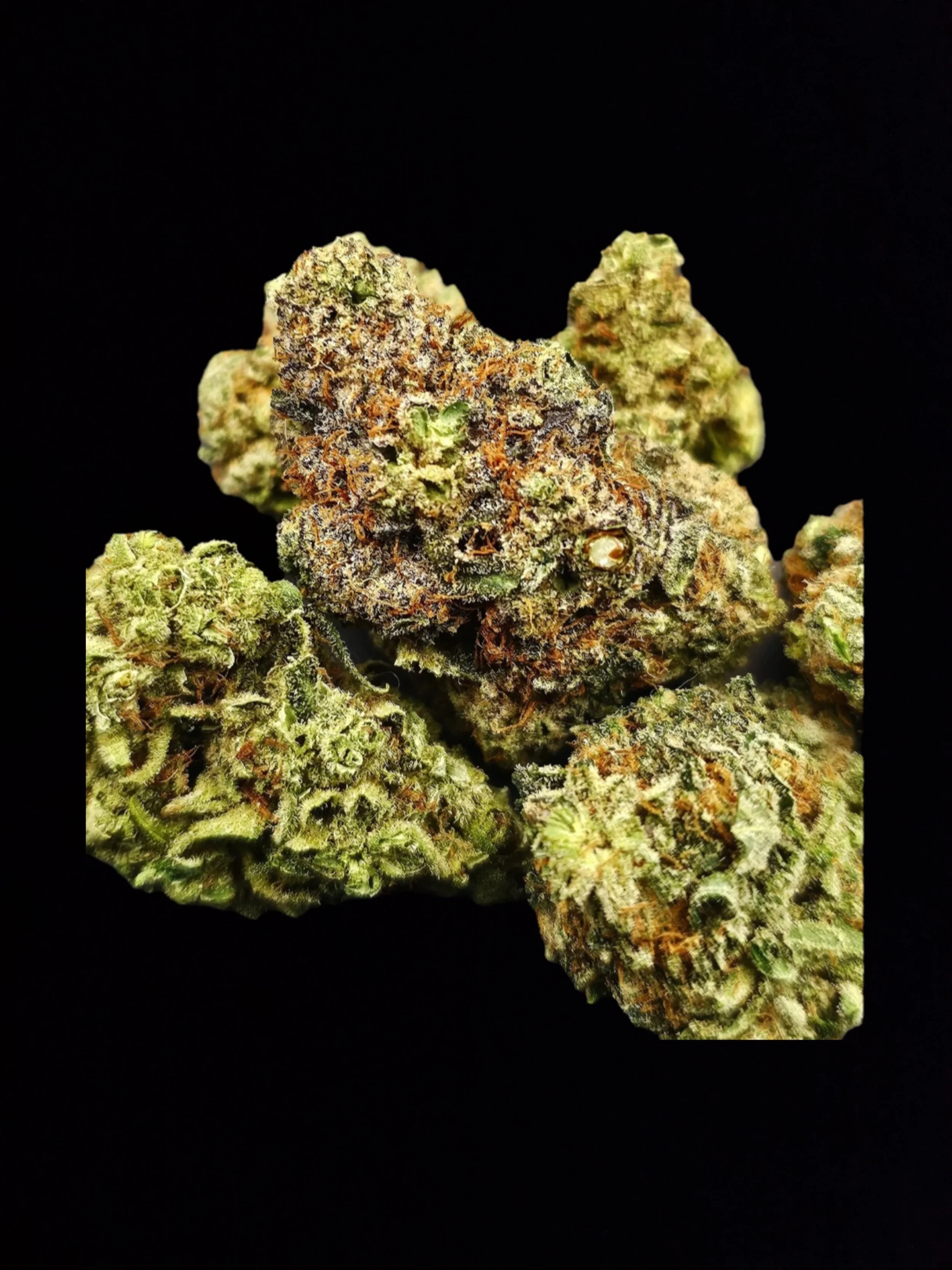 ICE OG (26.44% THC )a-AAA Flower (I)