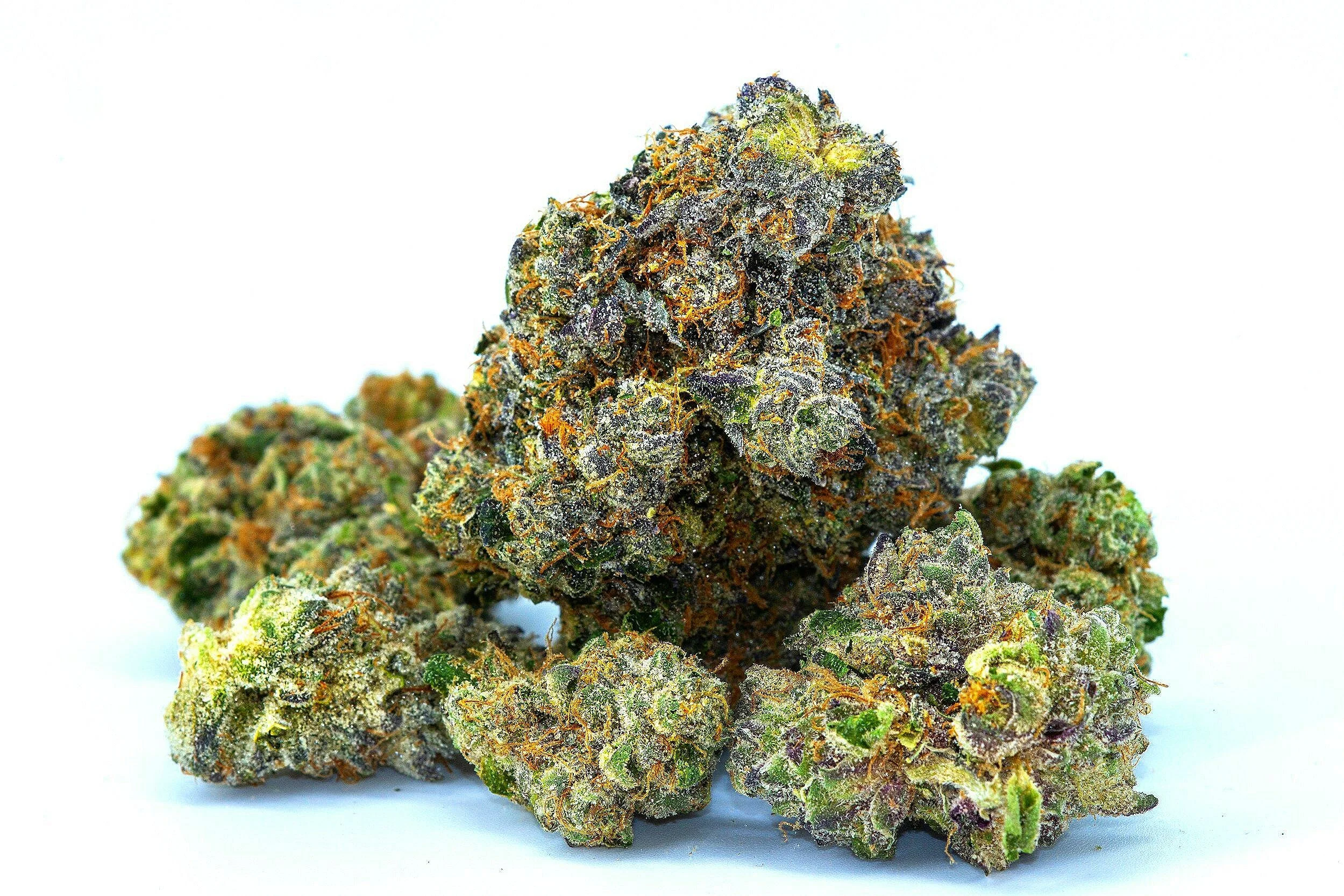image-asset.jpg