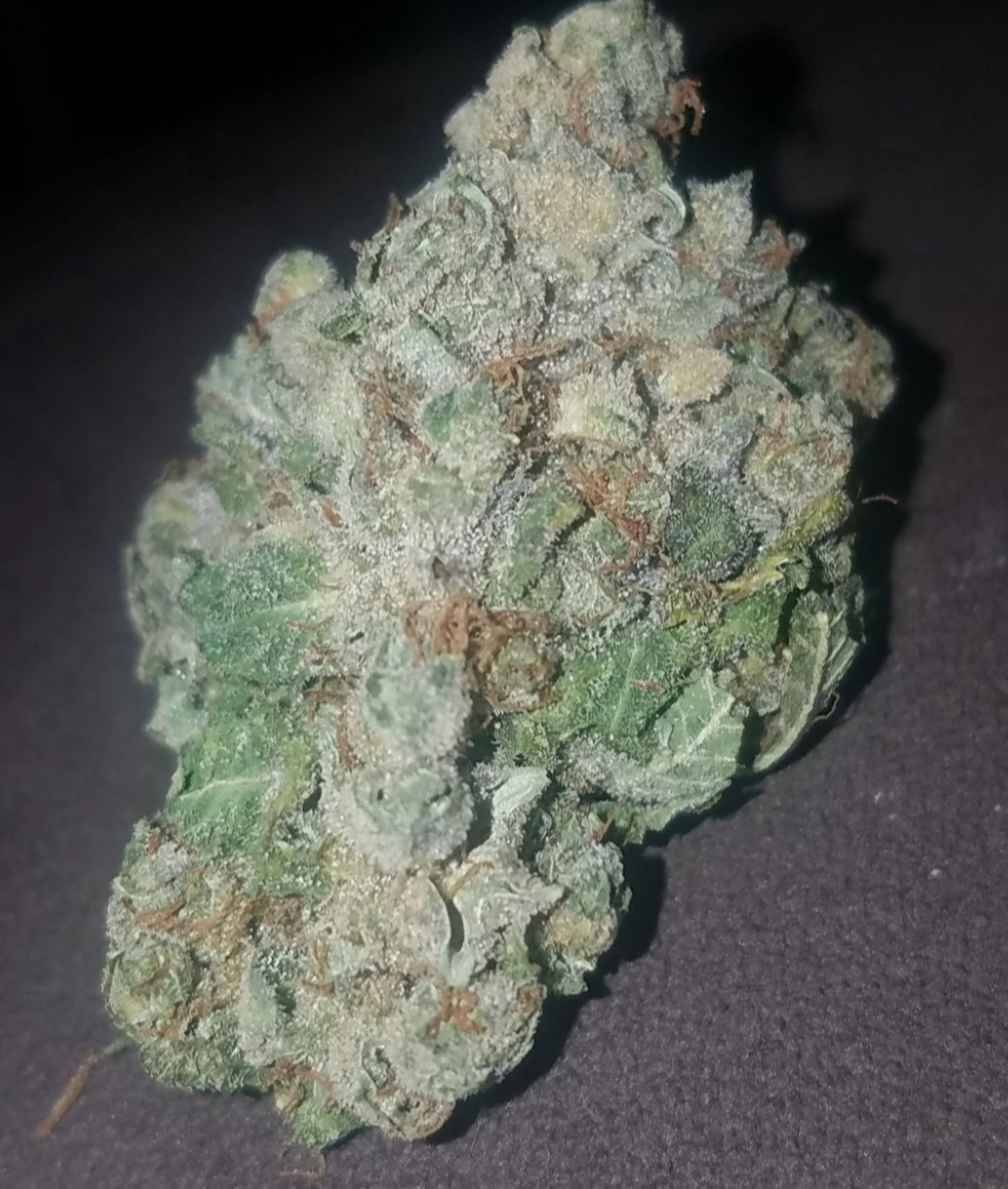 Super Silver Haze (26.34 % THC)a-AAA flower (S)