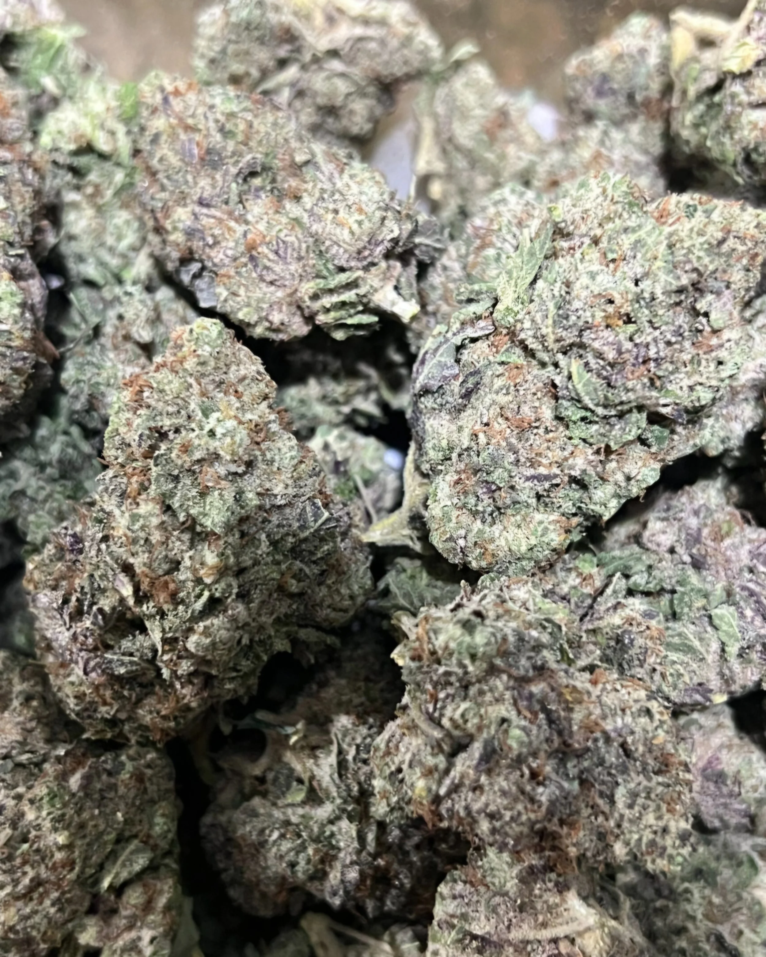 White Runtz (24% THC)a-AA-Flower (H) SALE!!!!!!!