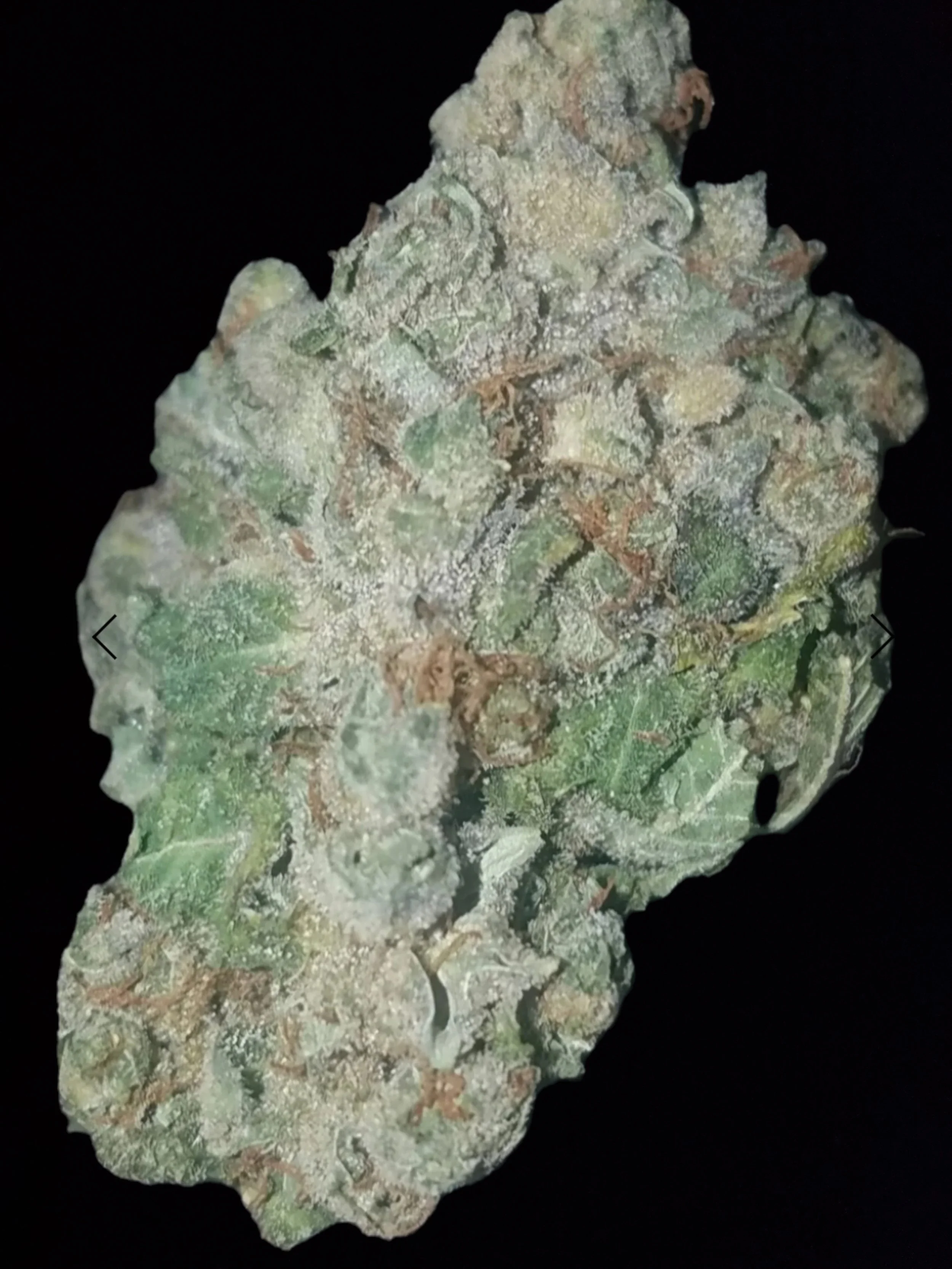 Super Silver Haze (26.34 % THC)a-AAA flower (S)