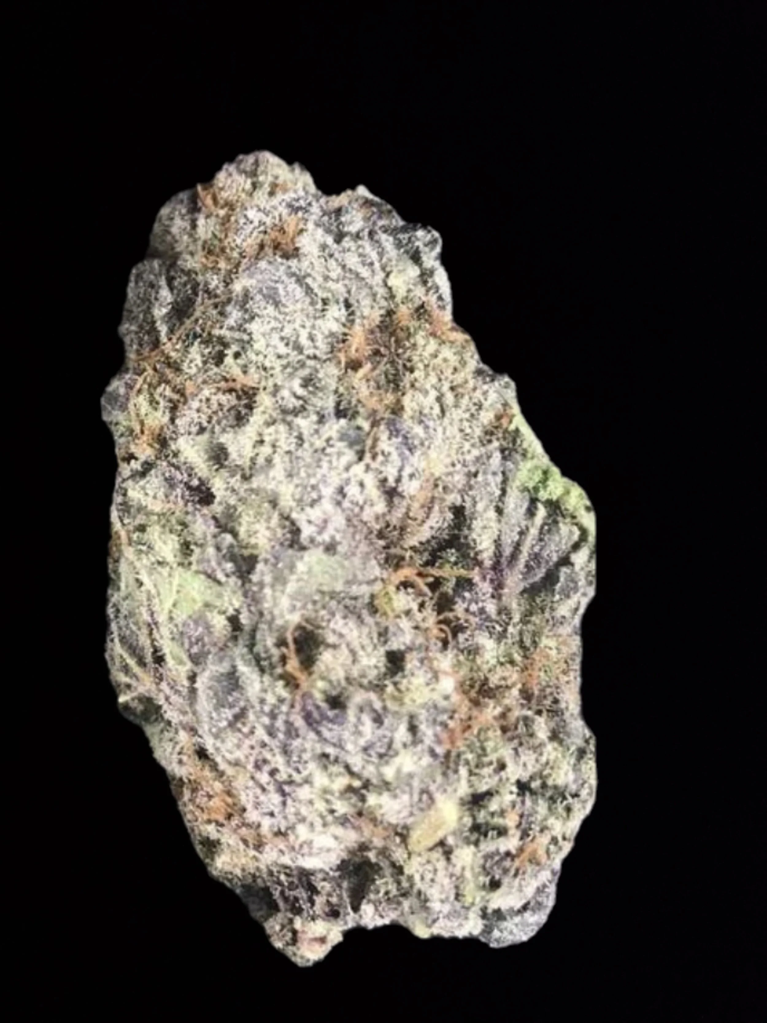 PURPLE URKLKE (27.63 % THC)a-AAA Flower