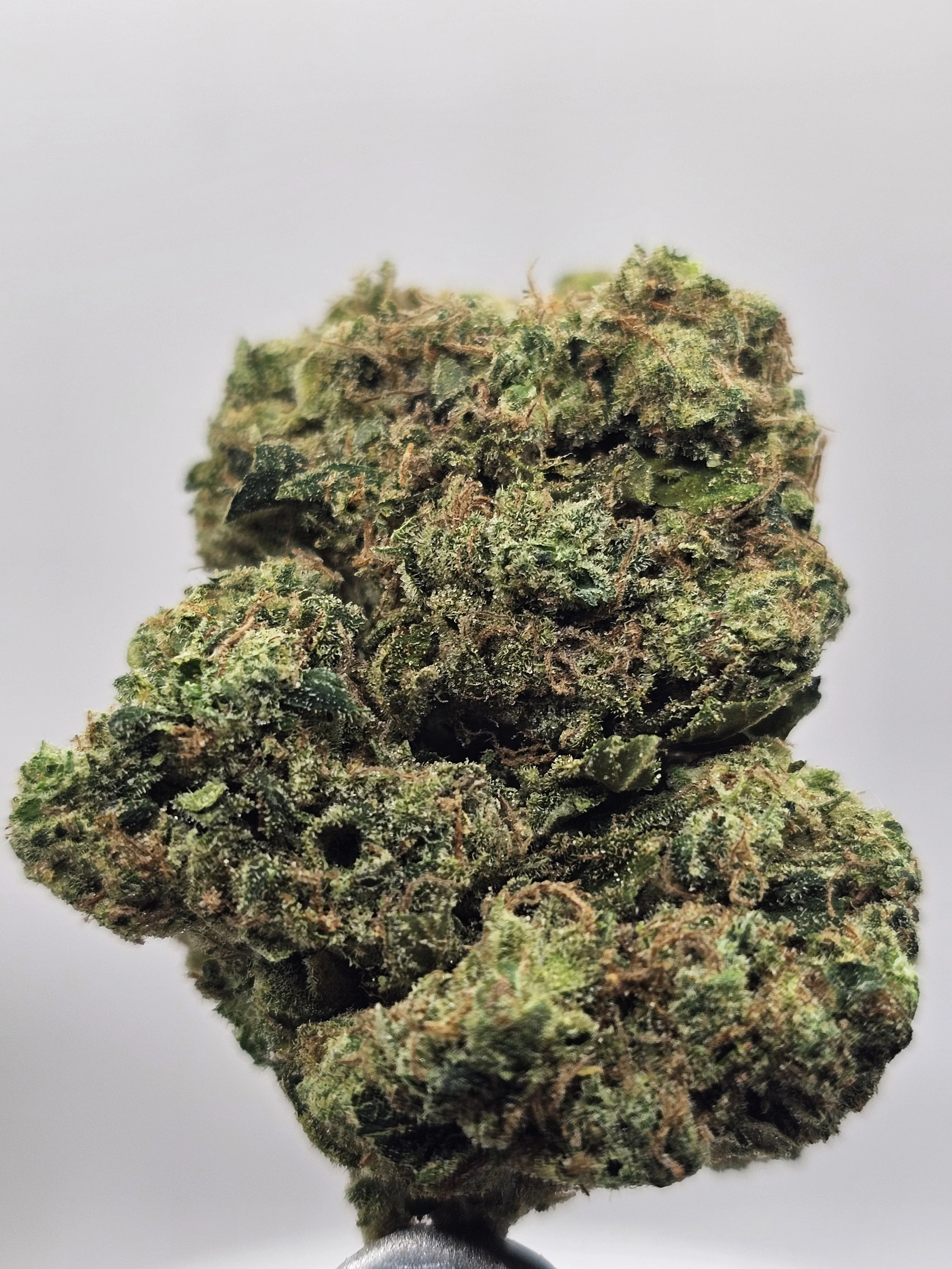 Ice Cream Cake Gelato  (22% THC)a- AAA -Flower (H)