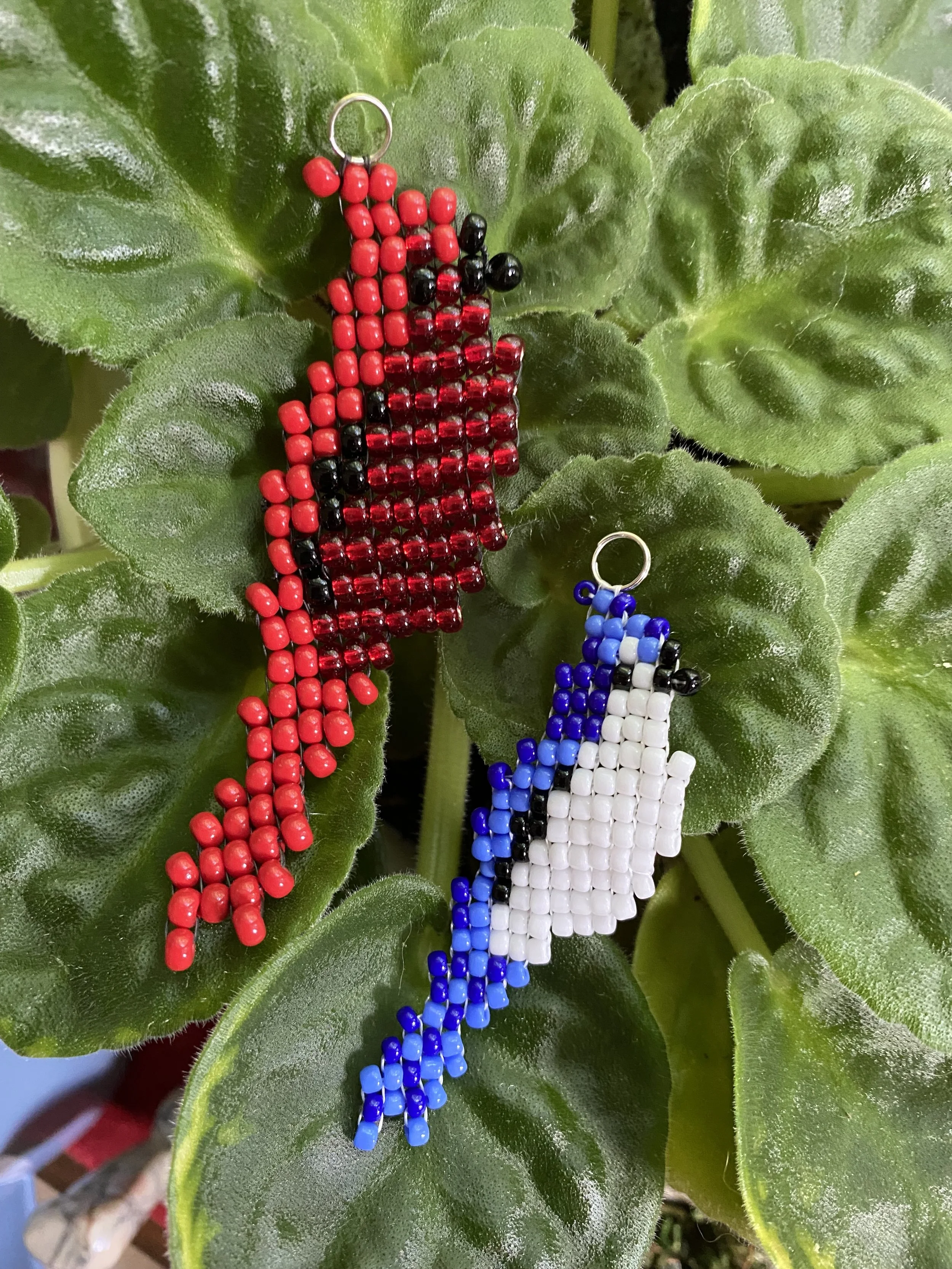 Cardinal and buebird.jpg