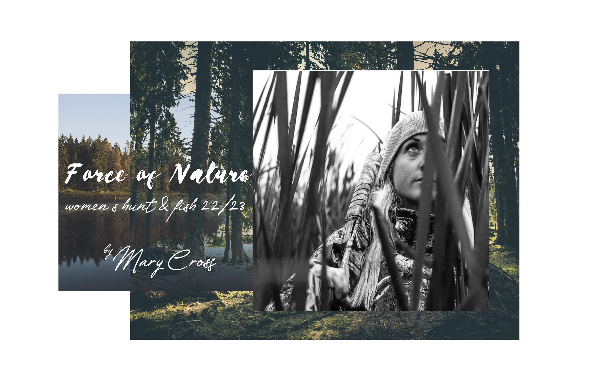 New-Title-Art-Force-of-Nature.jpg