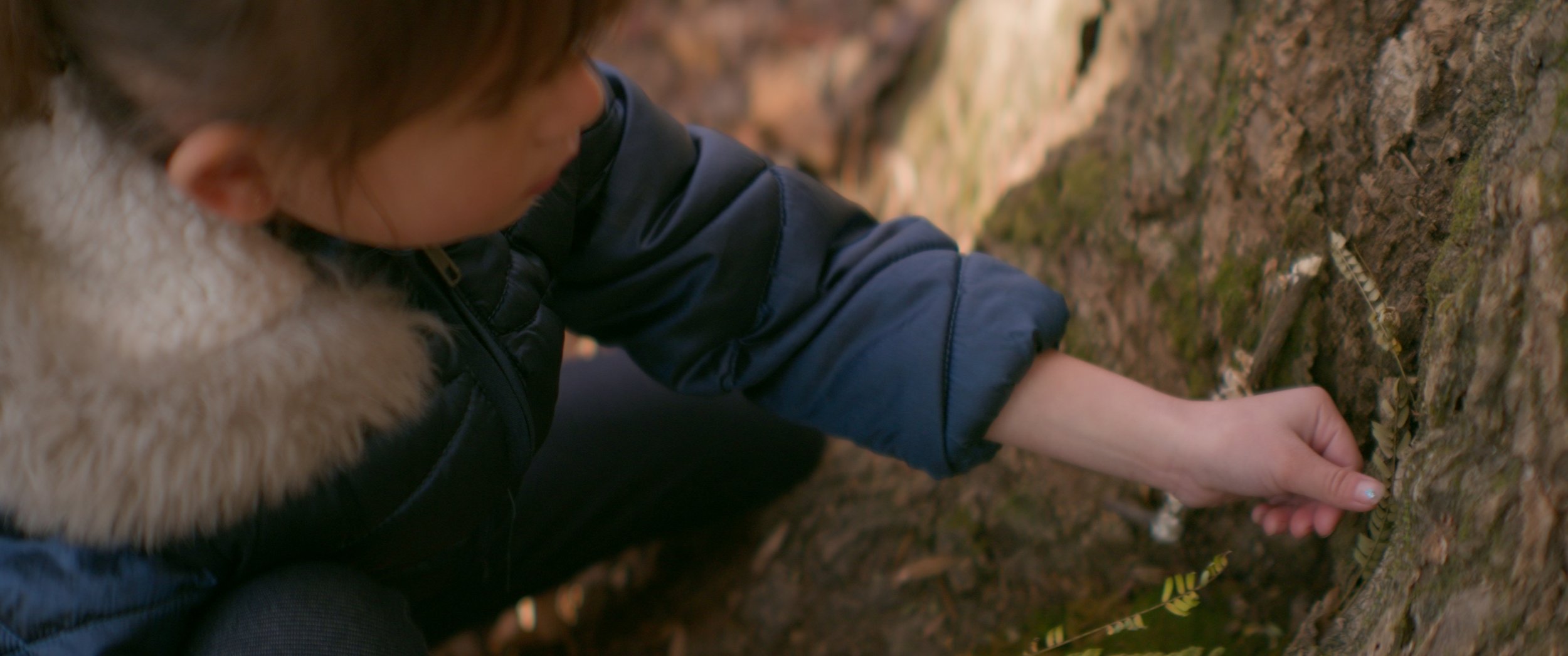 Still 2026-01-24 161240_1.11.1.jpg