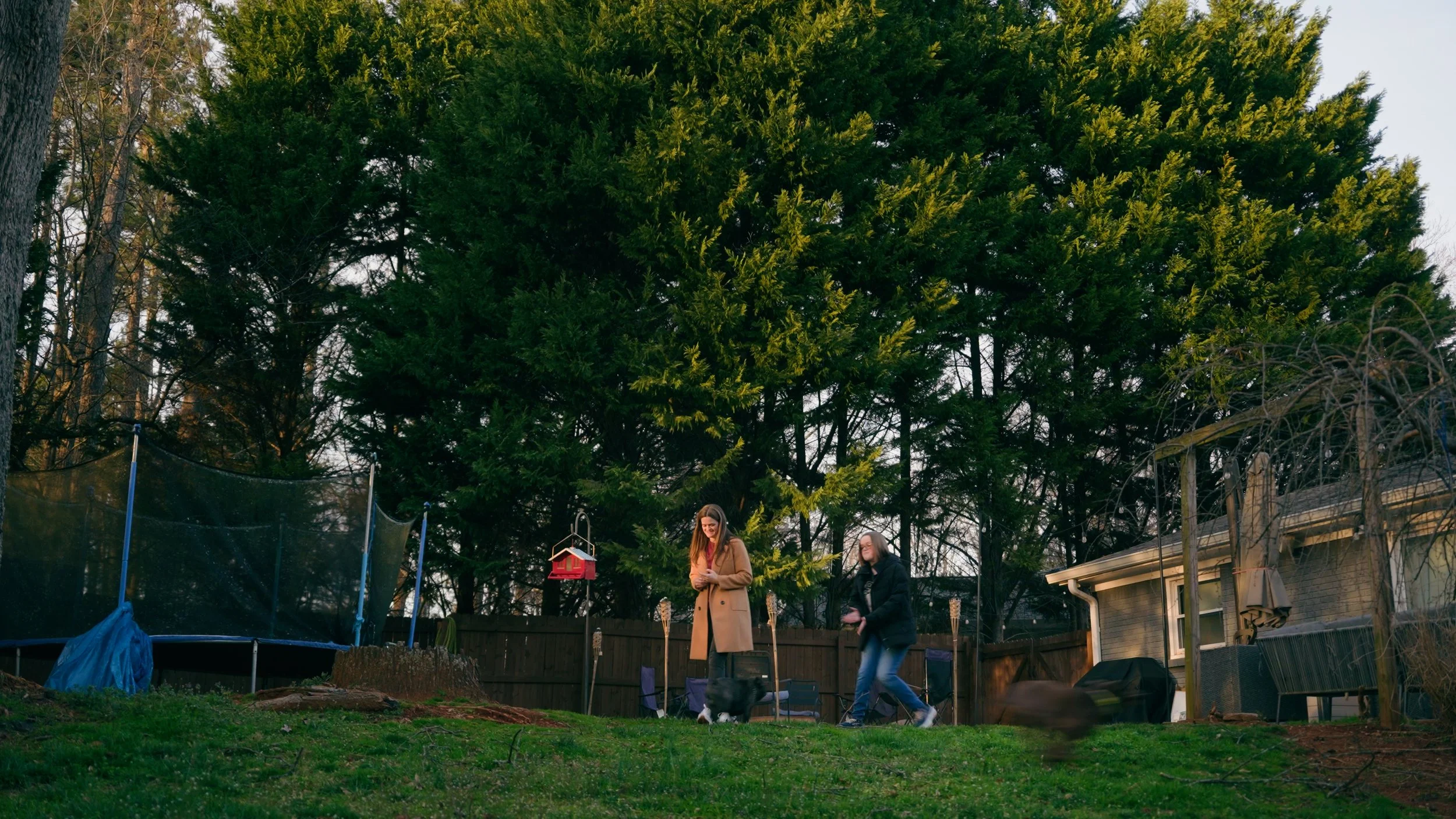 Still 2026-01-24 164230_3.10.1.jpg