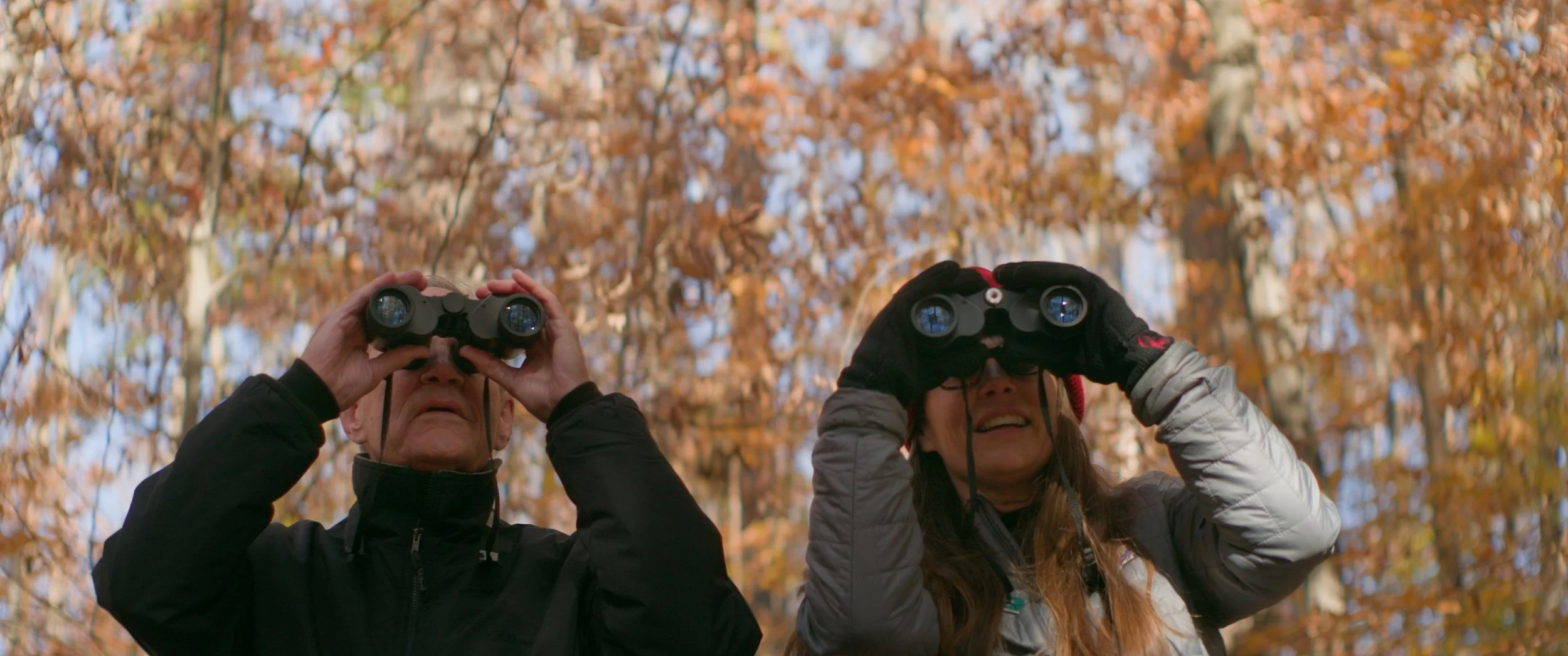 Still 2026-01-24 161240_1.14.1.jpg