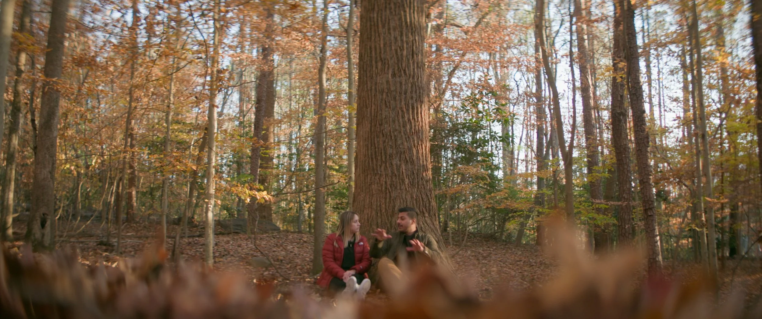 Still 2026-01-24 161240_1.18.1.jpg