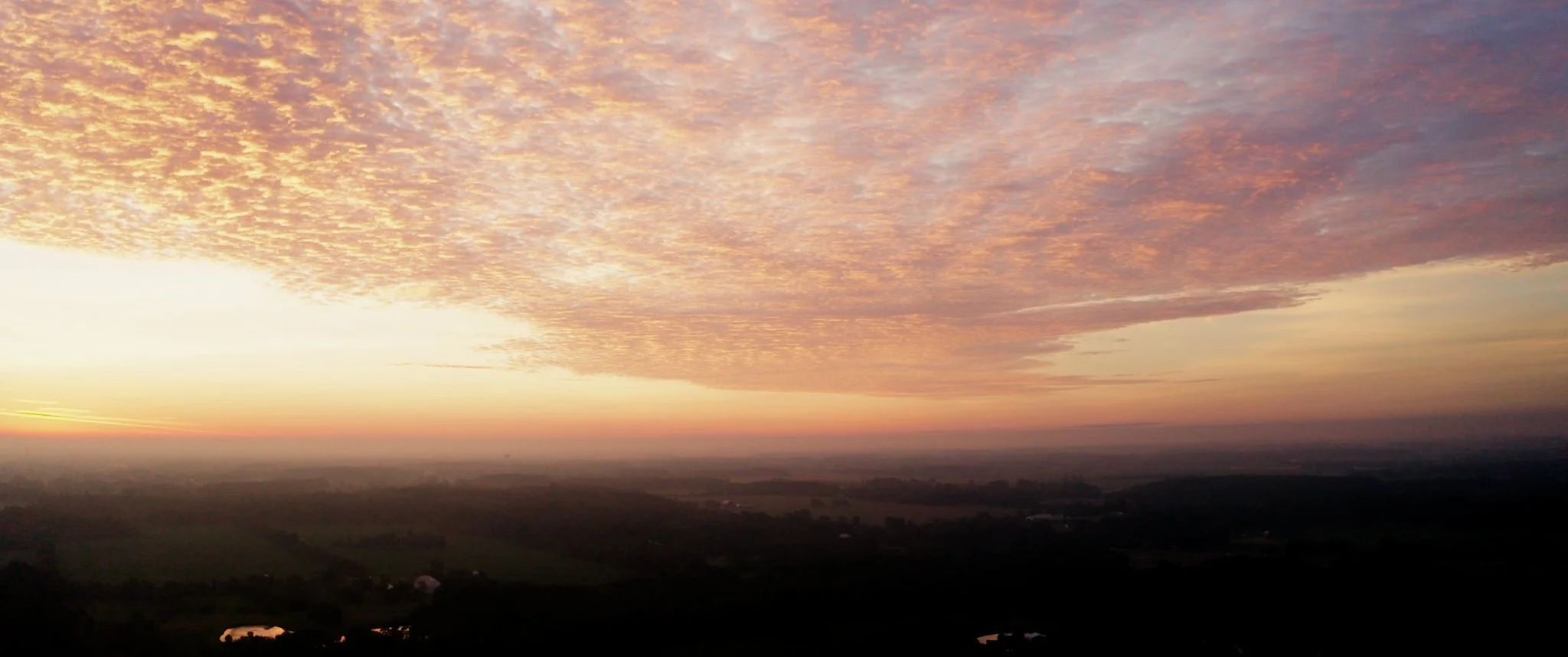 Still 2026-01-24 170418_2.1.1.jpg