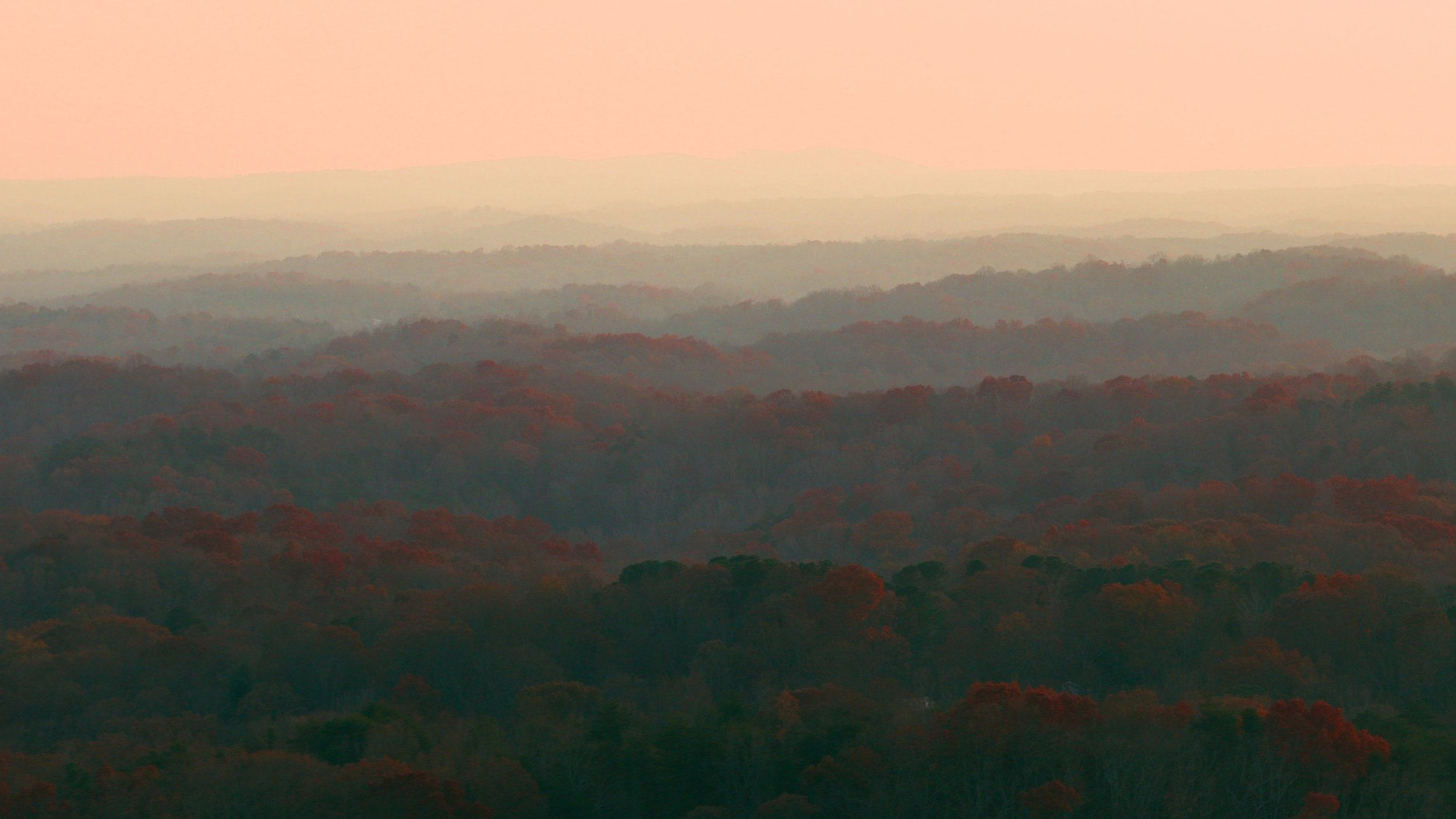 Still 2026-01-24 154440_2.6.1.jpg