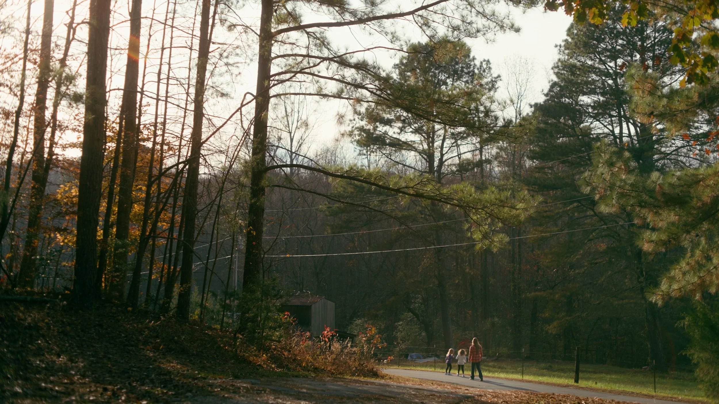 Still 2026-01-24 154440_2.25.1.jpg