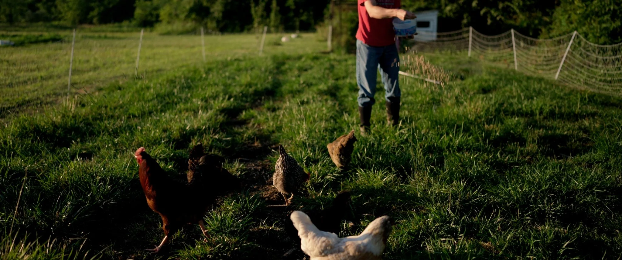 Still 2026-01-24 170418_2.13.1.jpg