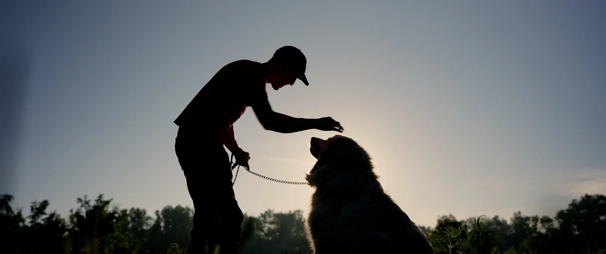 Still 2026-01-24 170418_2.12.1.jpg