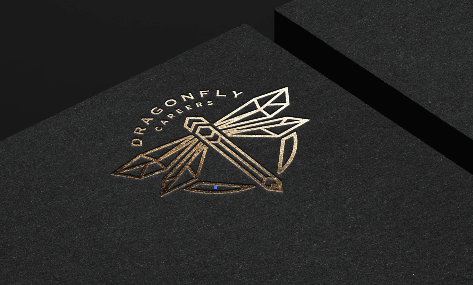 Art Direction: Logo Design. Brand Guide.