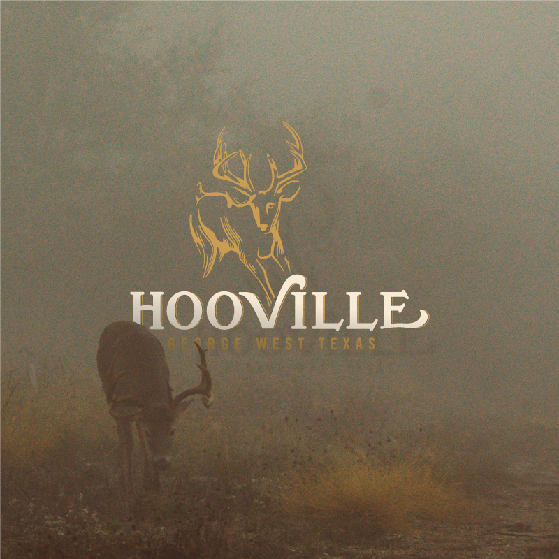 Logo. Brand Design. Video Art Direction. 