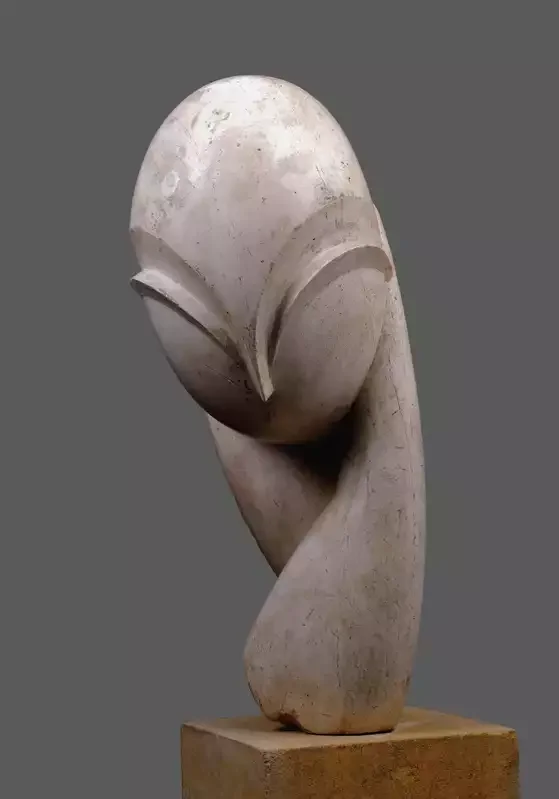 somatic body.
