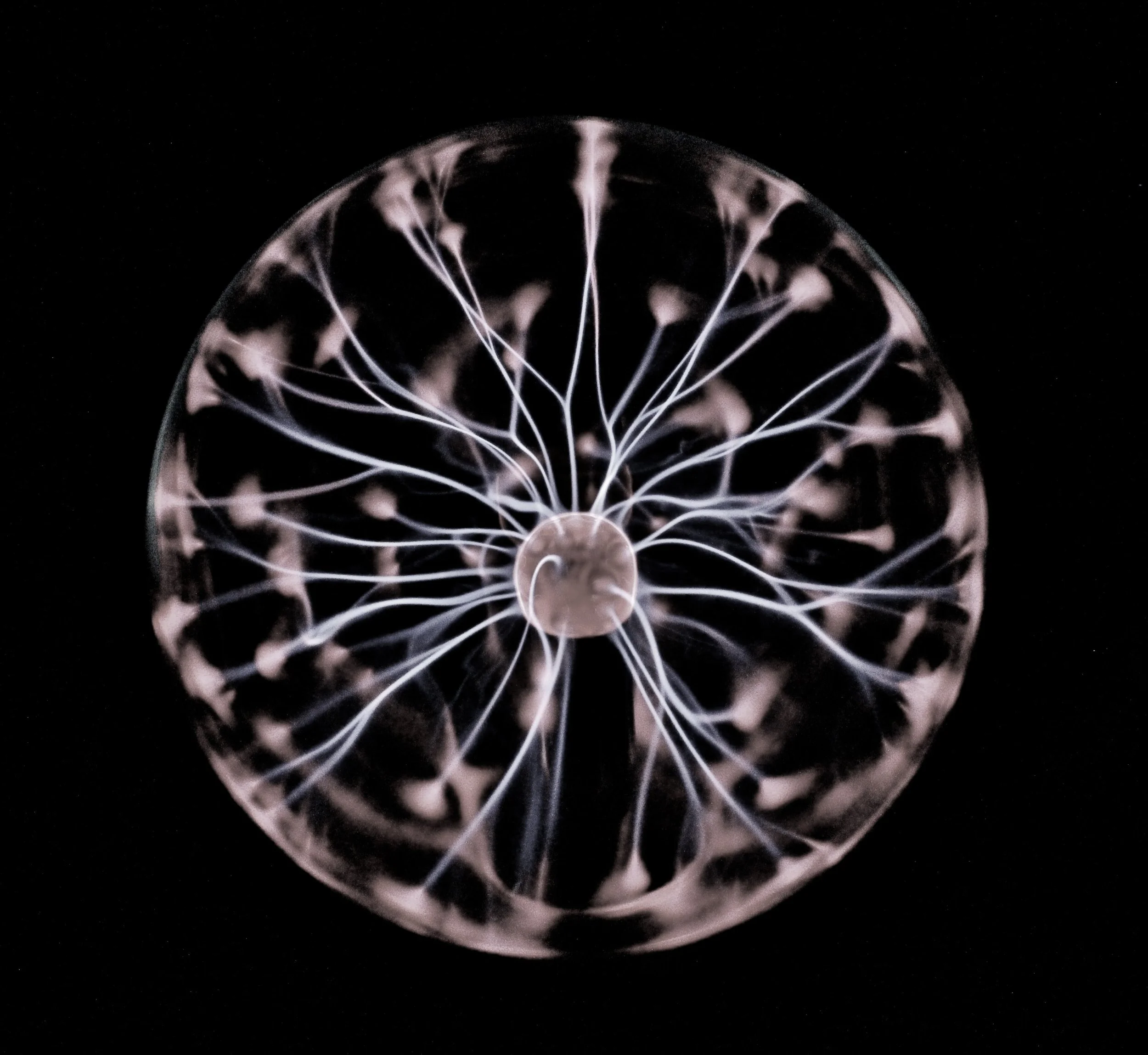 fascia as sensory intelligence.